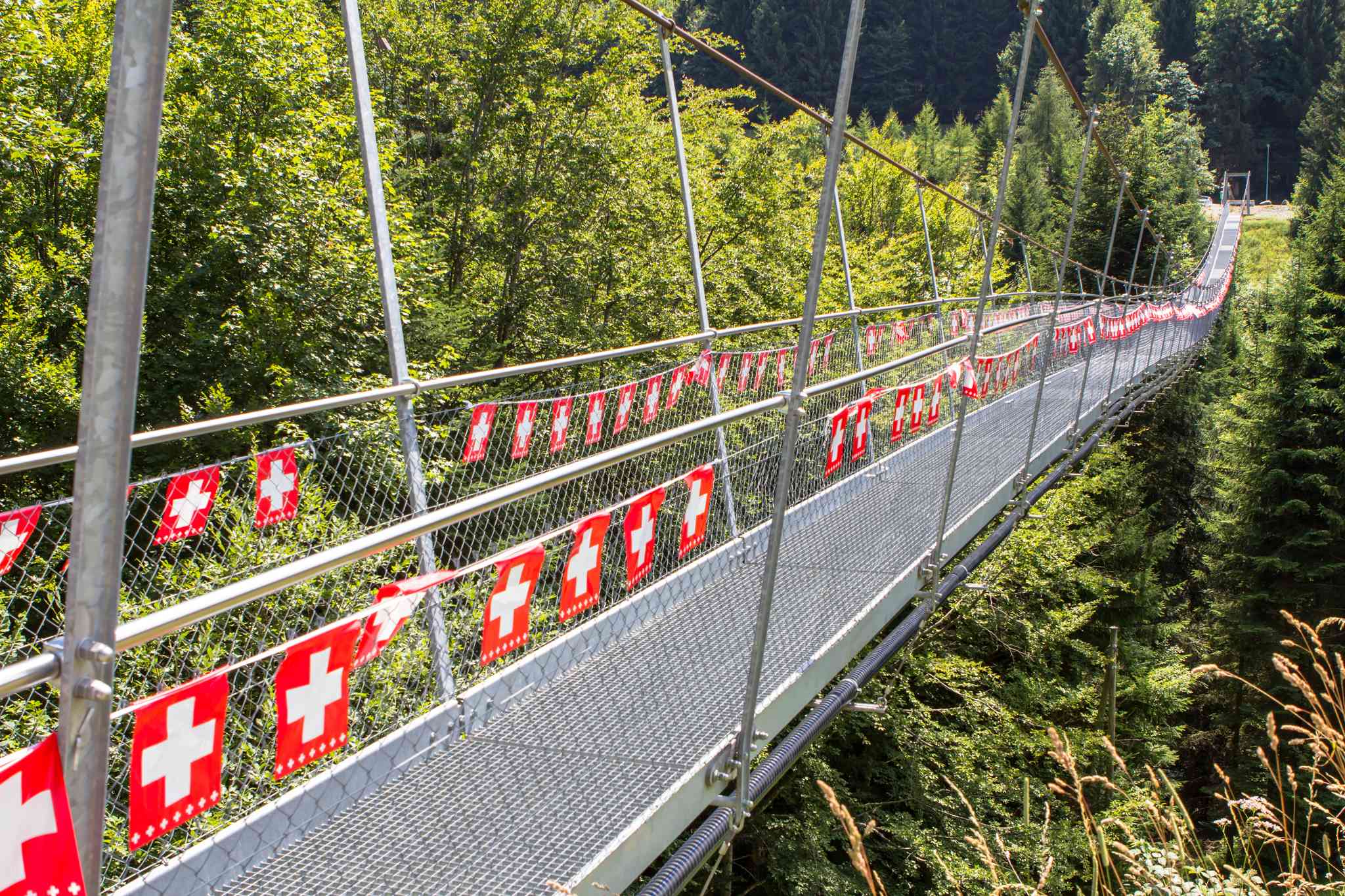 Scenic view of Torgon - private day trip from Geneva - photo 2