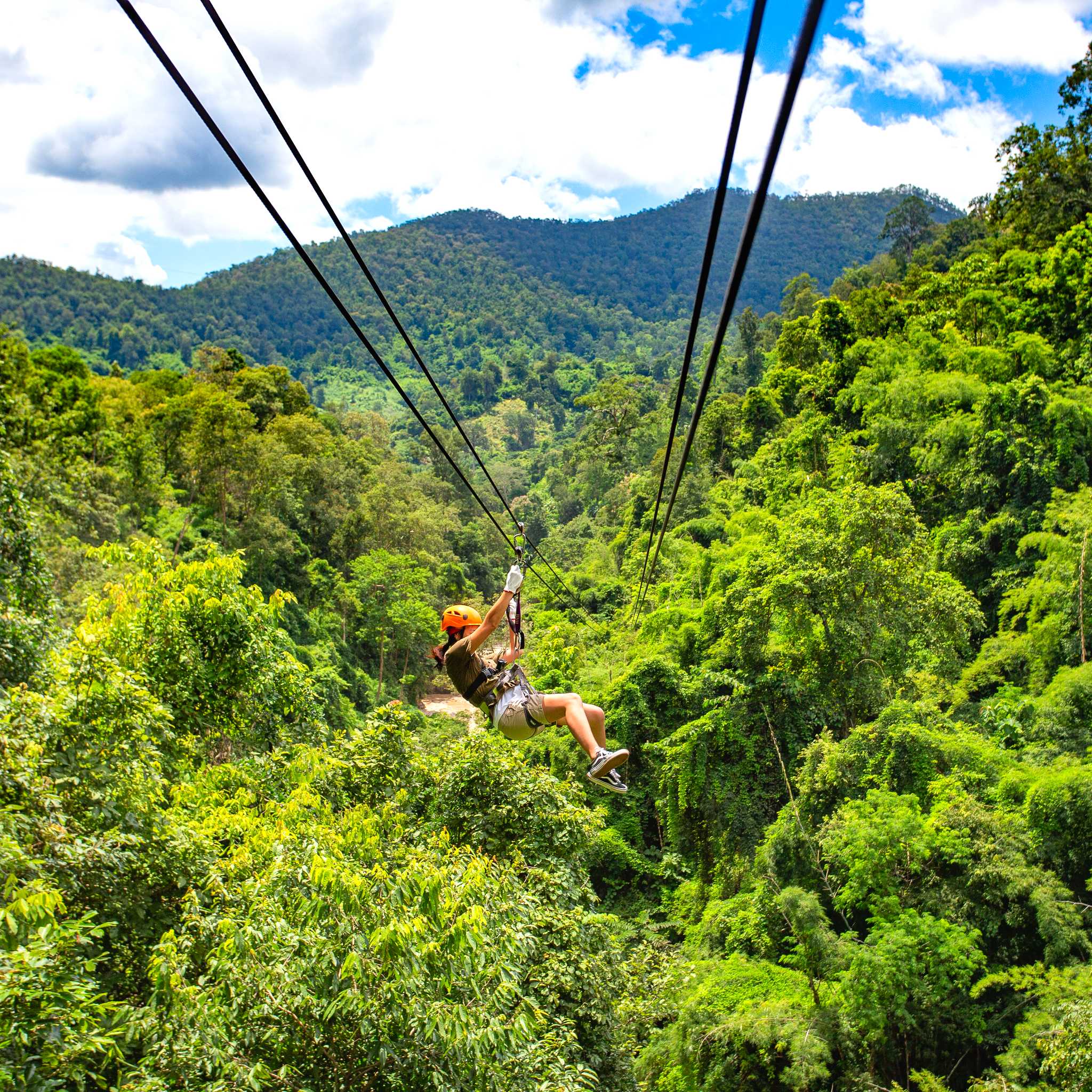 Toro Verde Adventure Park