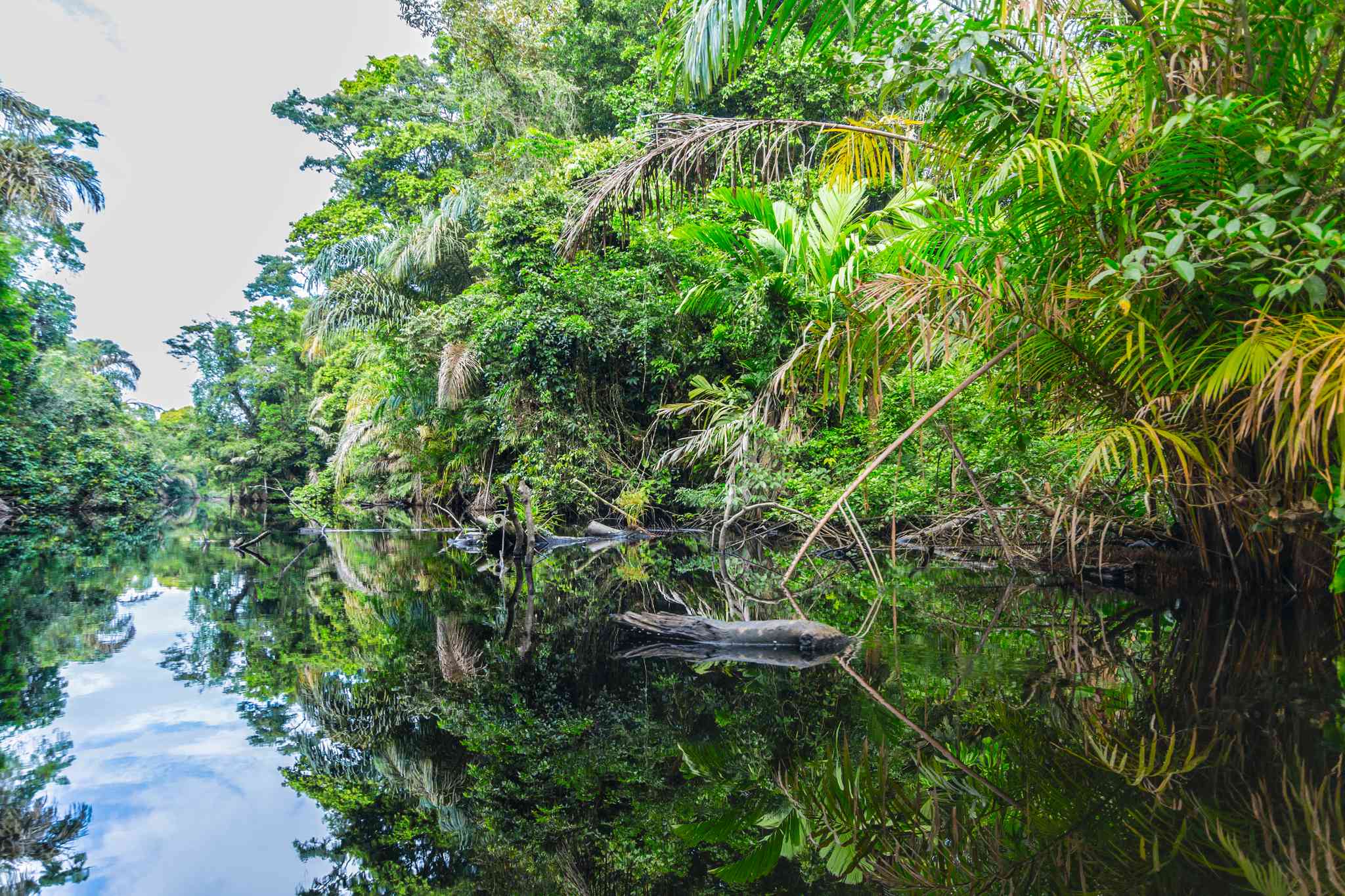 Vue pittoresque de Palma, Alajuela Province - excursion privée d'une journée depuis Tortuguero - photo 3