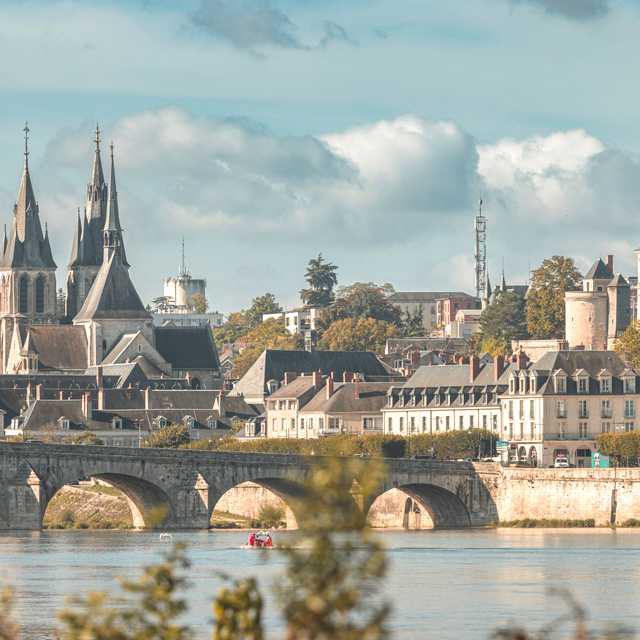 Paris-Charles De Gaulle to Amboise and Tours: Private daytrip