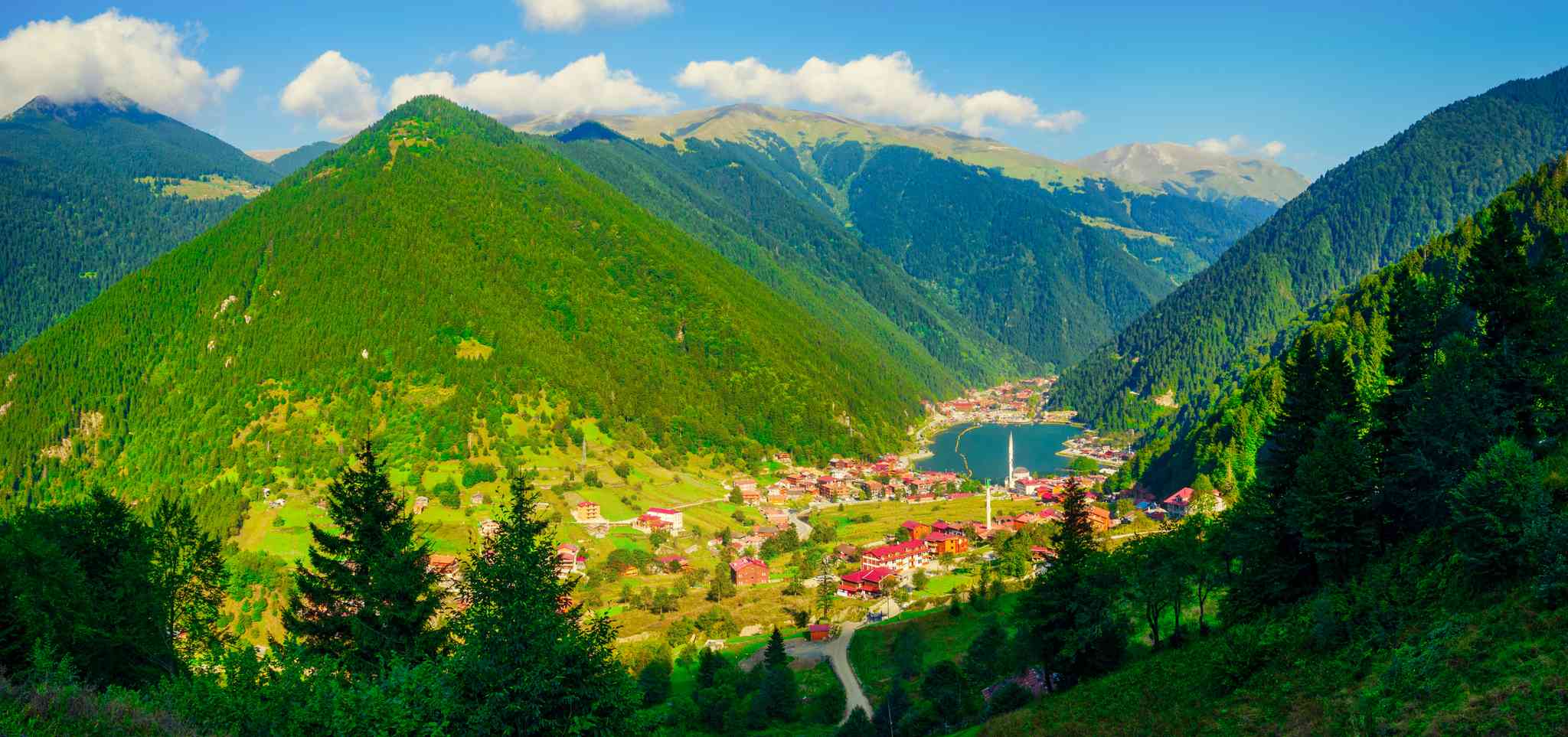 Vista cênica de Tbilisi - excursão particular de um dia de Trabzon - foto 6