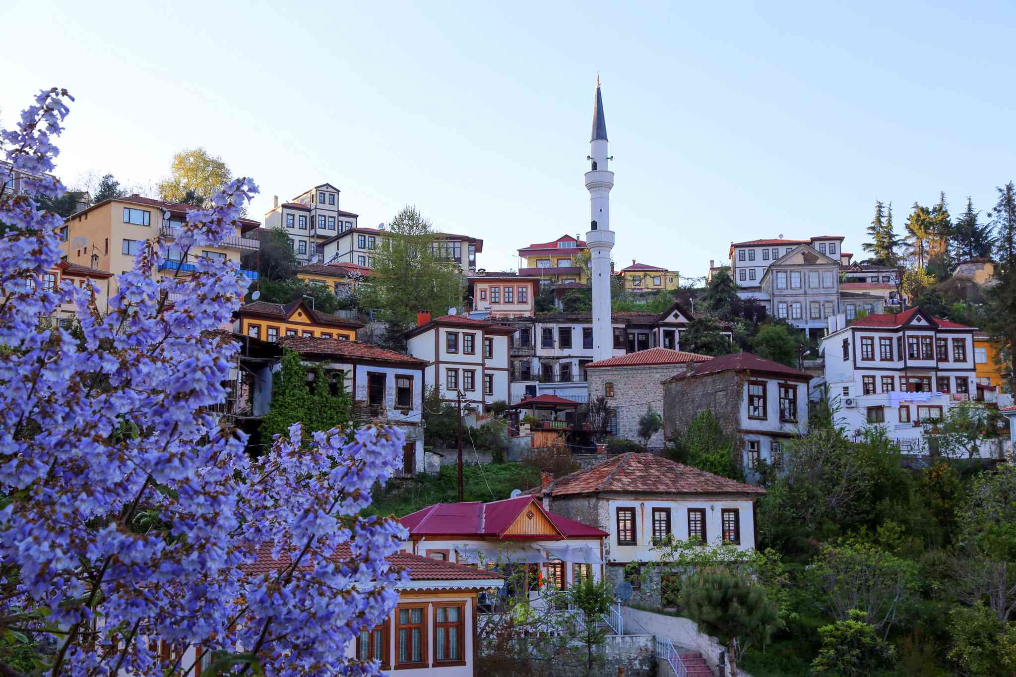 Vista cênica de Tbilisi - excursão particular de um dia de Trabzon - foto 7