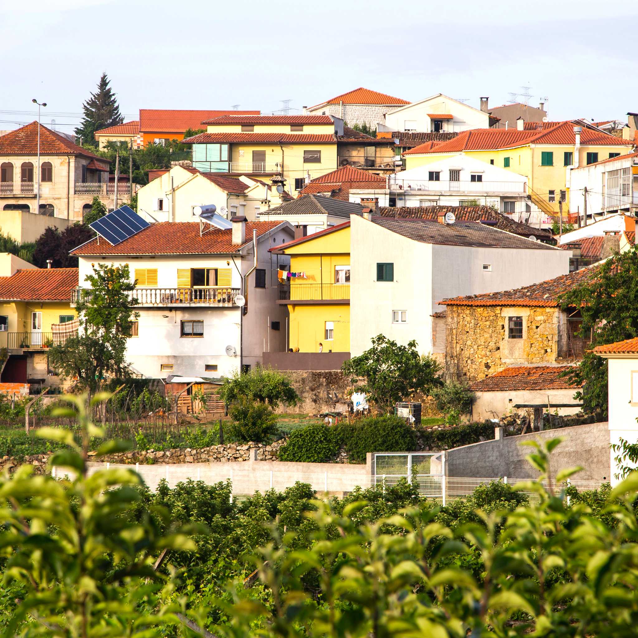 Travanca do Monte