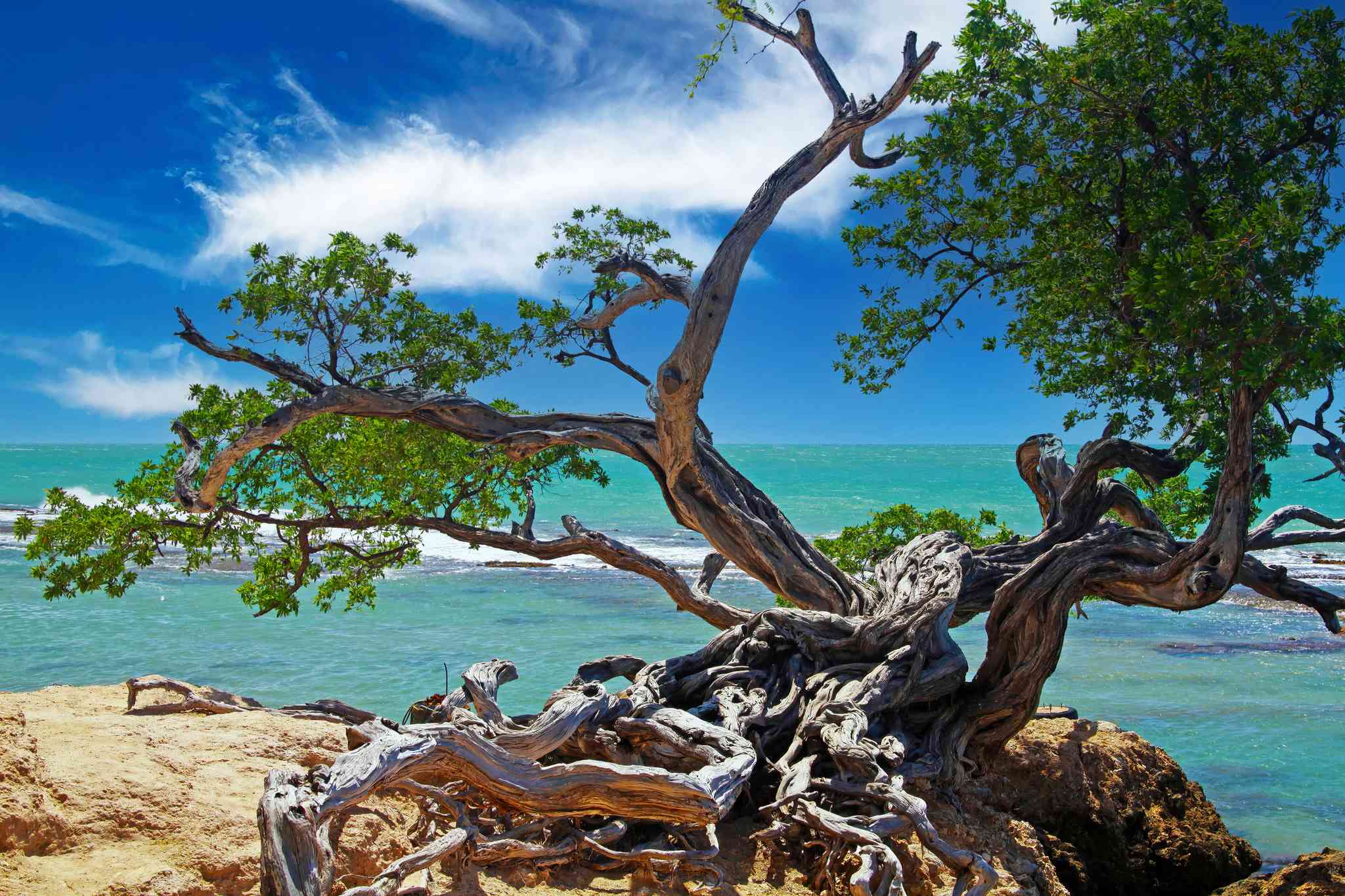 Vacker vy över Montego Bay - privat dagsutflykt från Treasure Beach - foto 8