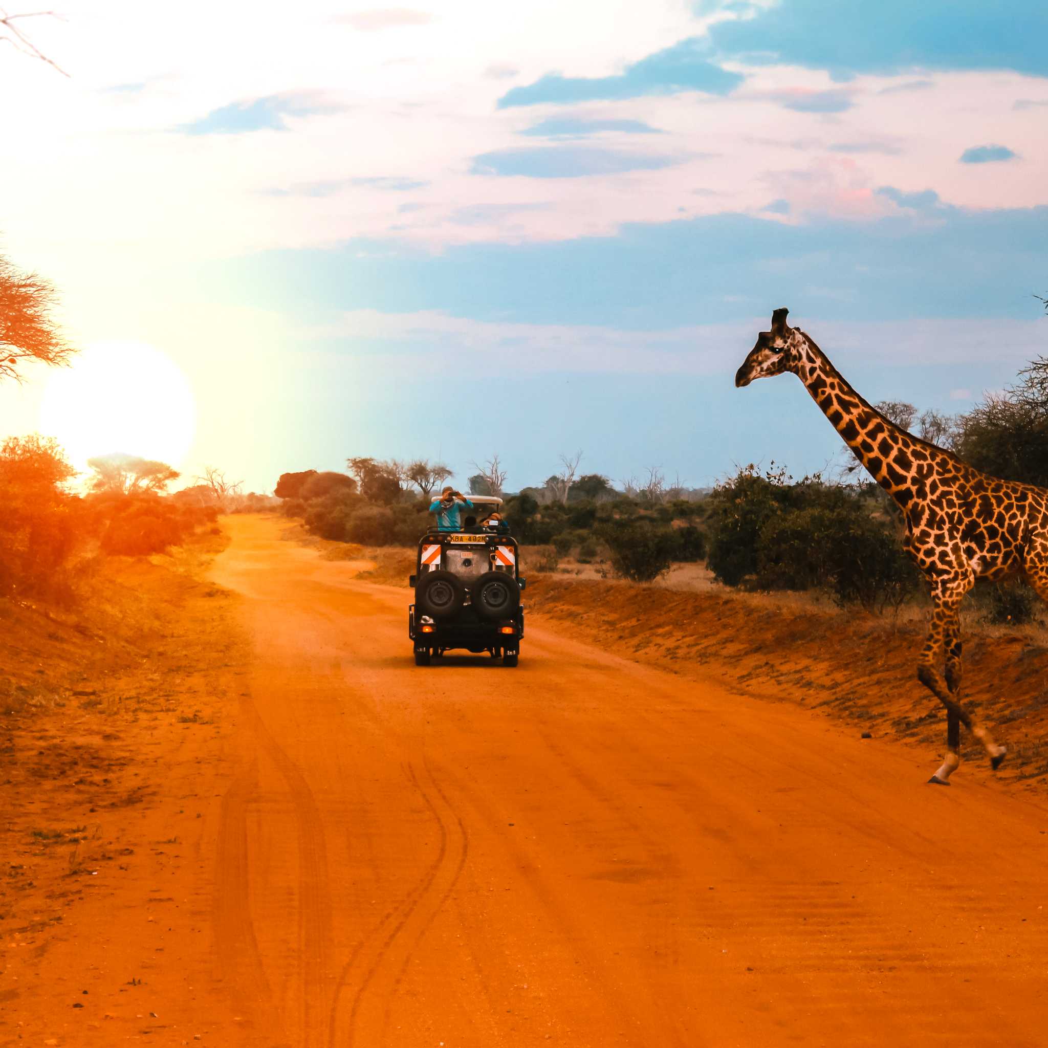 Tsavo