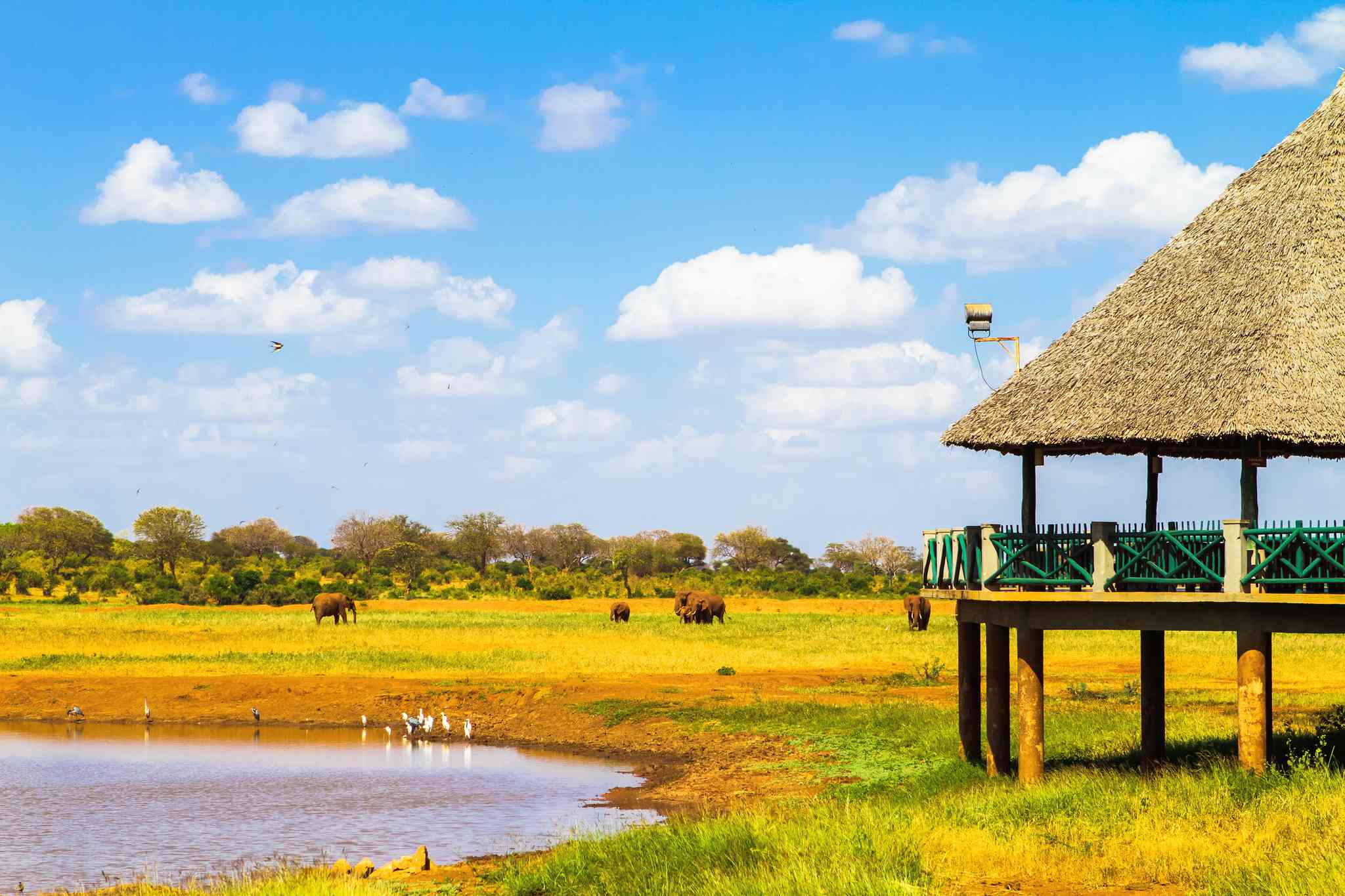 Blick auf die Landschaft von Mombasa - private Tagesreise von Tsavo - Foto 5
