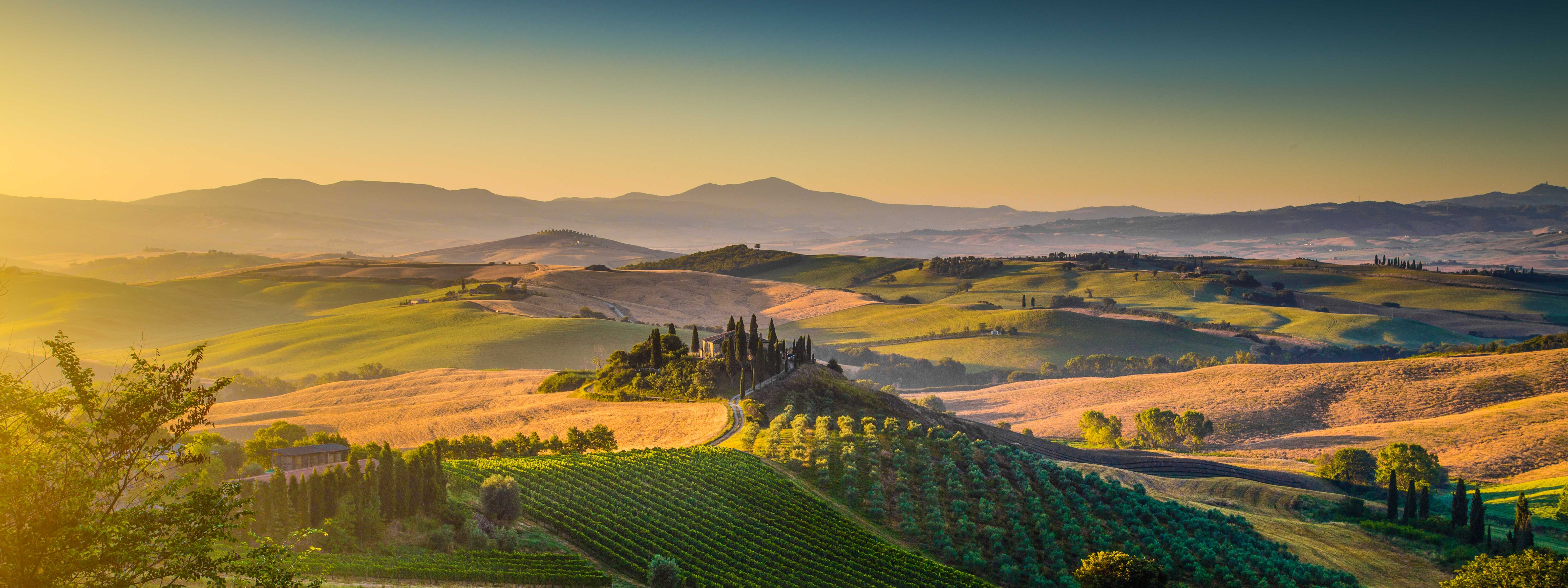 Reiseinspiration für Tuscany Wine Itinerary | Red Wines, Vineyards & Hill Towns - Private Tagesausflüge von Daytrip