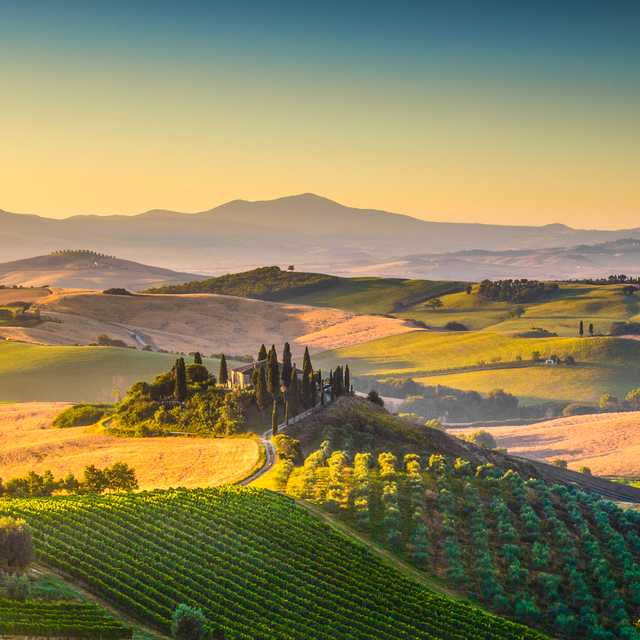Travel inspiration for Tuscany Wine Itinerary | Red Wines, Vineyards & Hill Towns - Private day trips by Daytrip