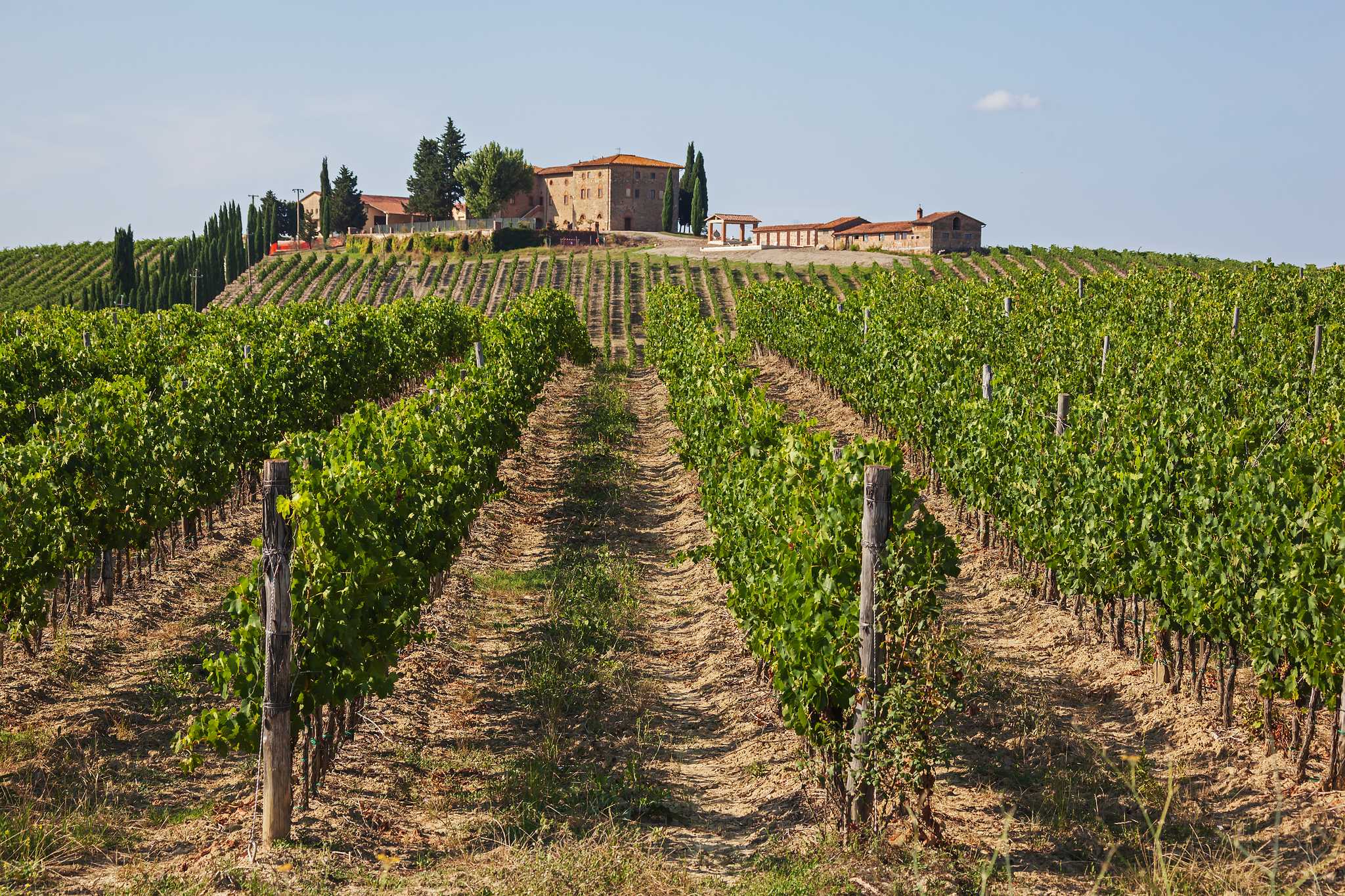 Traditional Tuscan wine farm surrounded by vineyards.