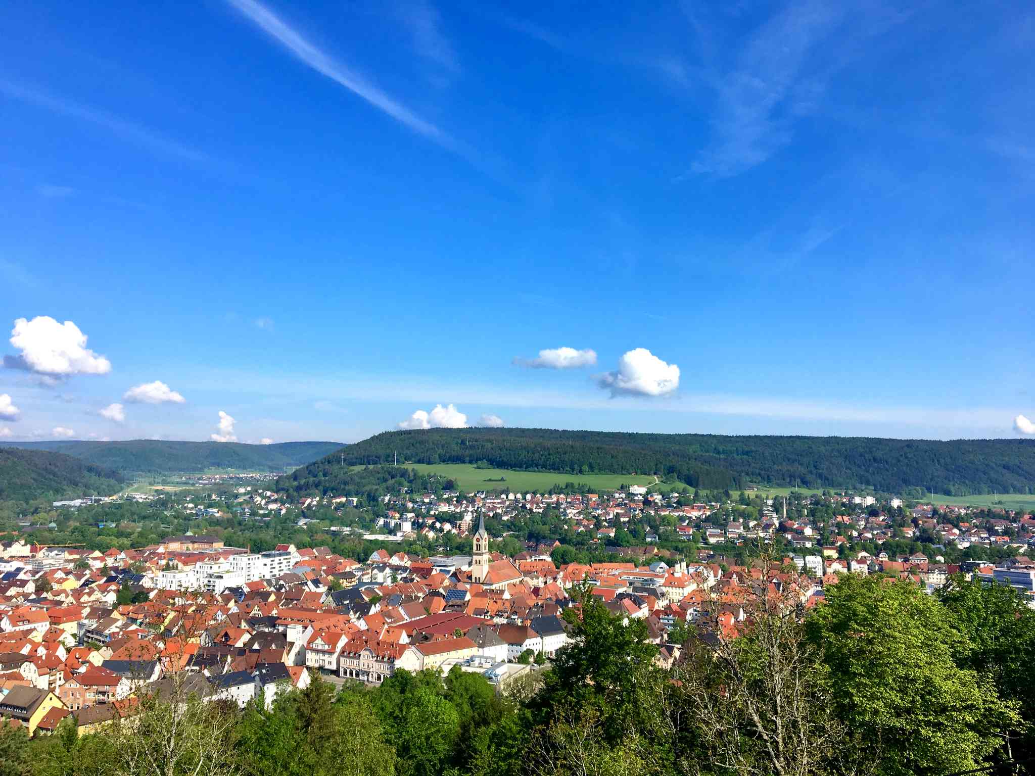 Vista cênica de Tuttlingen - excursão particular de um dia de Paris - foto 1