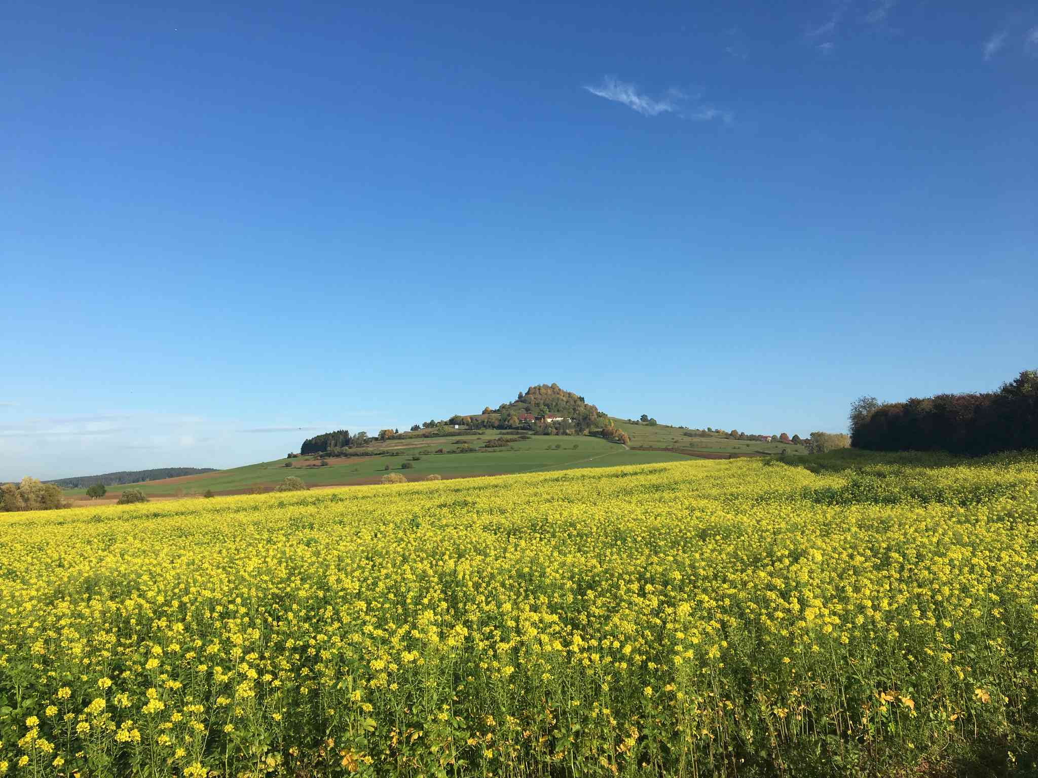 Vista cênica de Tuttlingen - excursão particular de um dia de Paris - foto 2