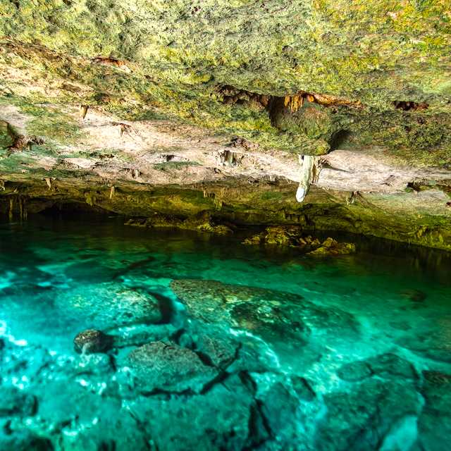 Playa del Carmen to Two Eyes Cenote: Private day trip