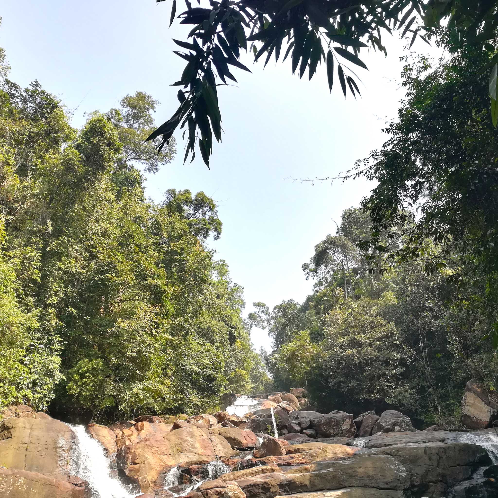 Udugama