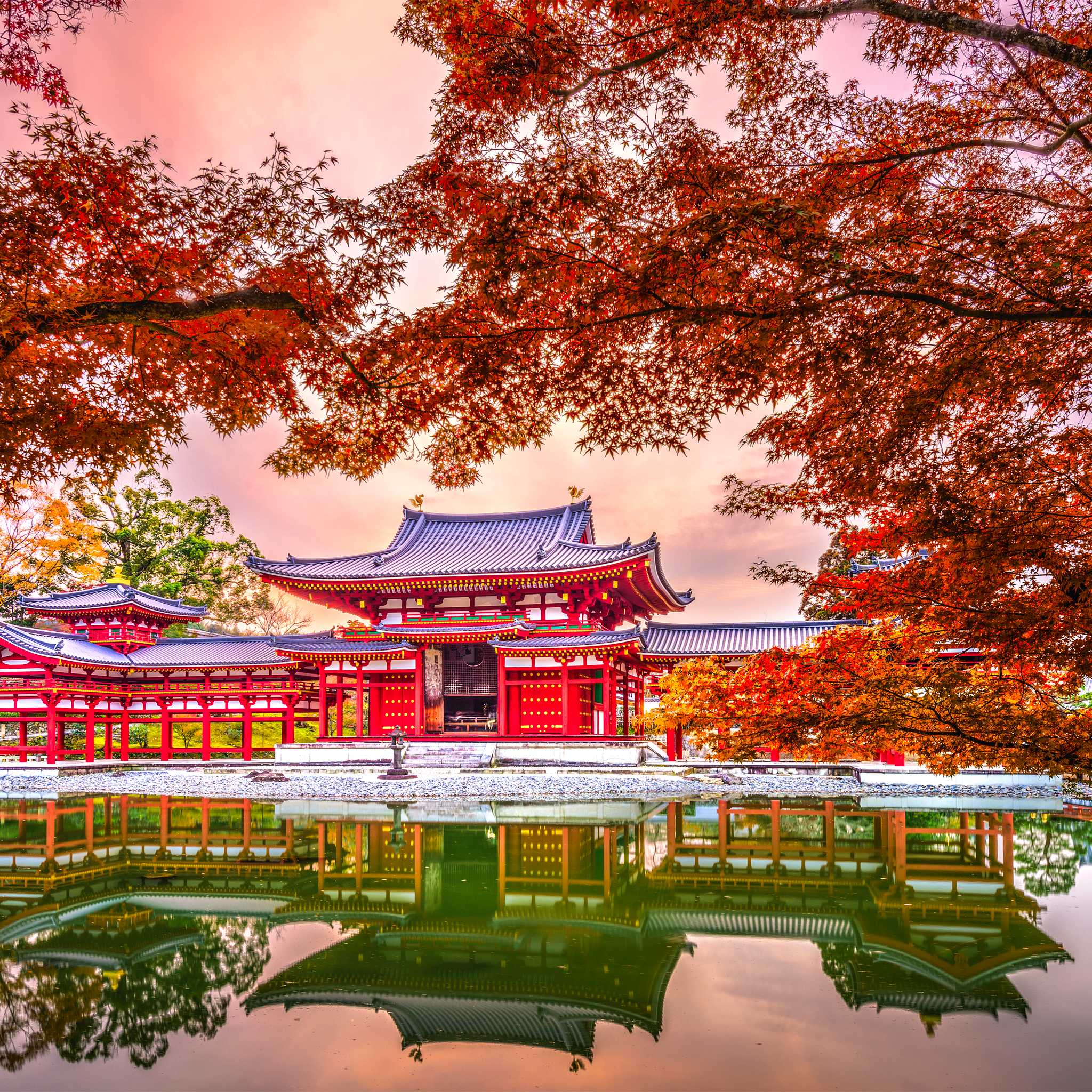 Uji