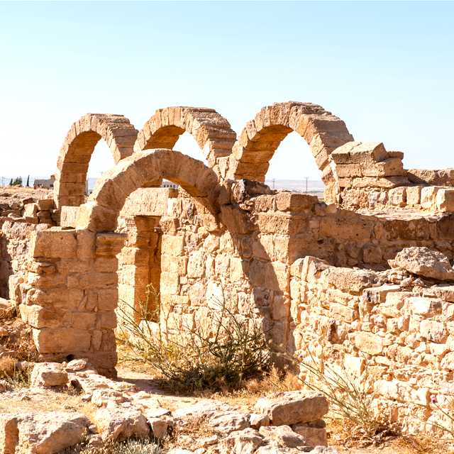 Amman to Madaba and Umm ar-Rasas: Private day trip
