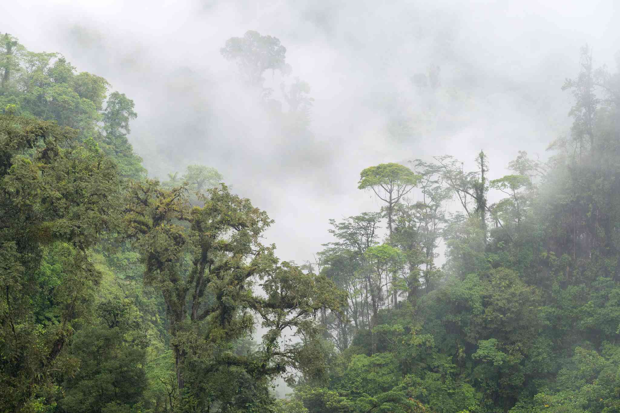 Blick auf die Landschaft von La Fortuna - private Tagesreise von Upala - Foto 8