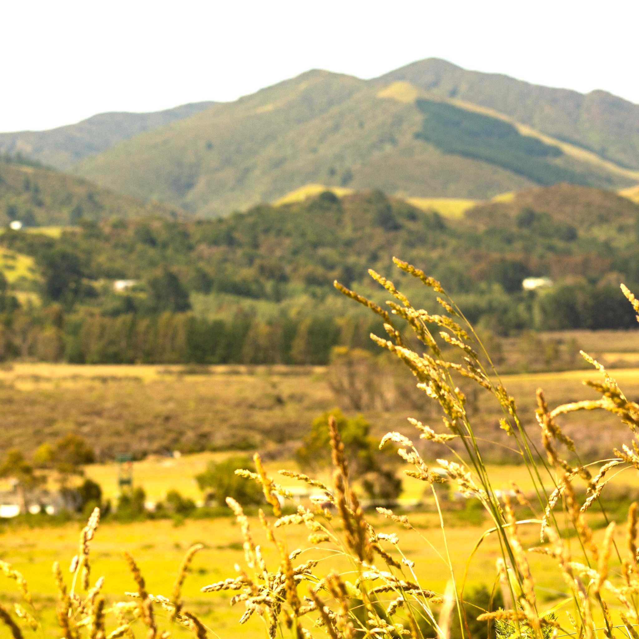 Upper Hutt