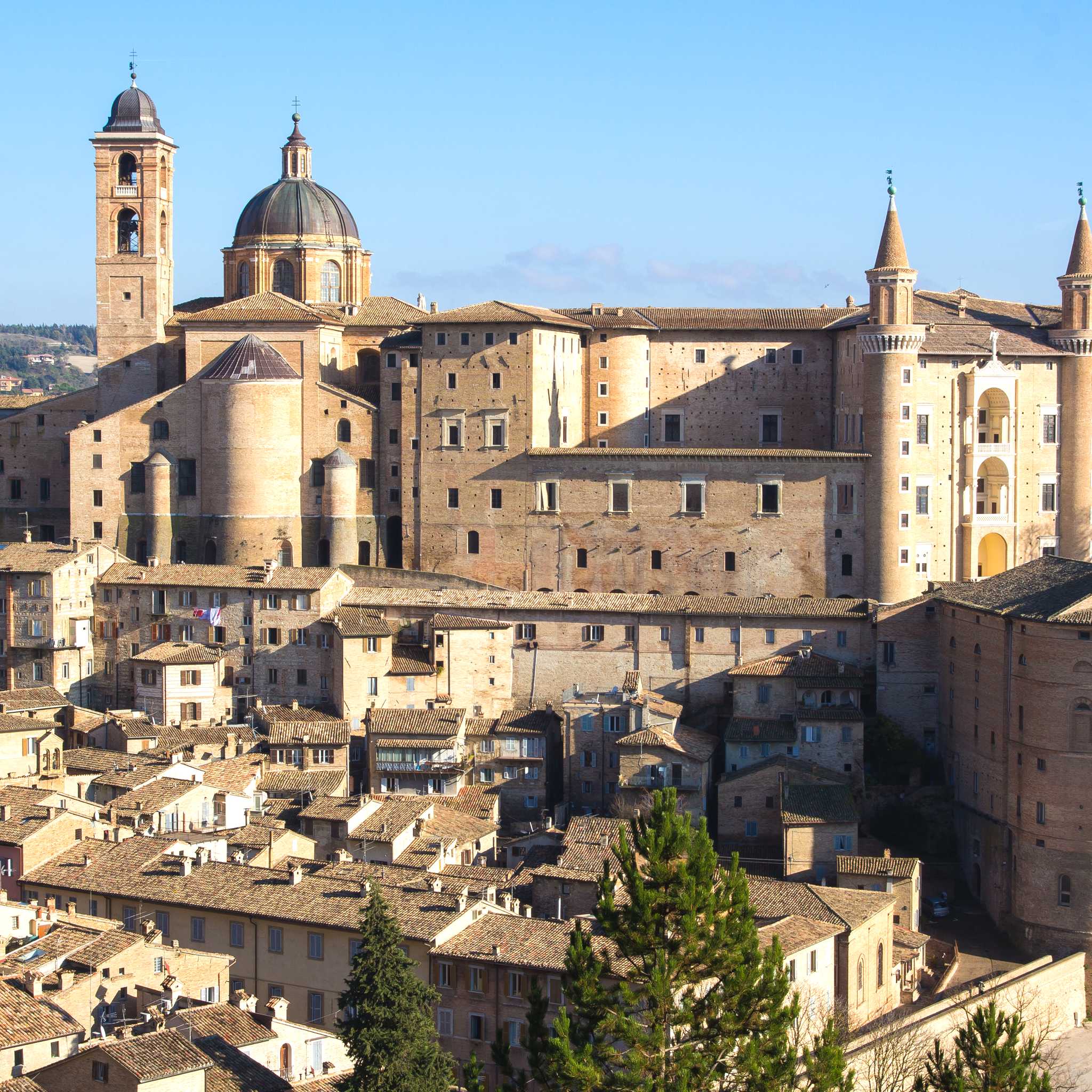 Urbino