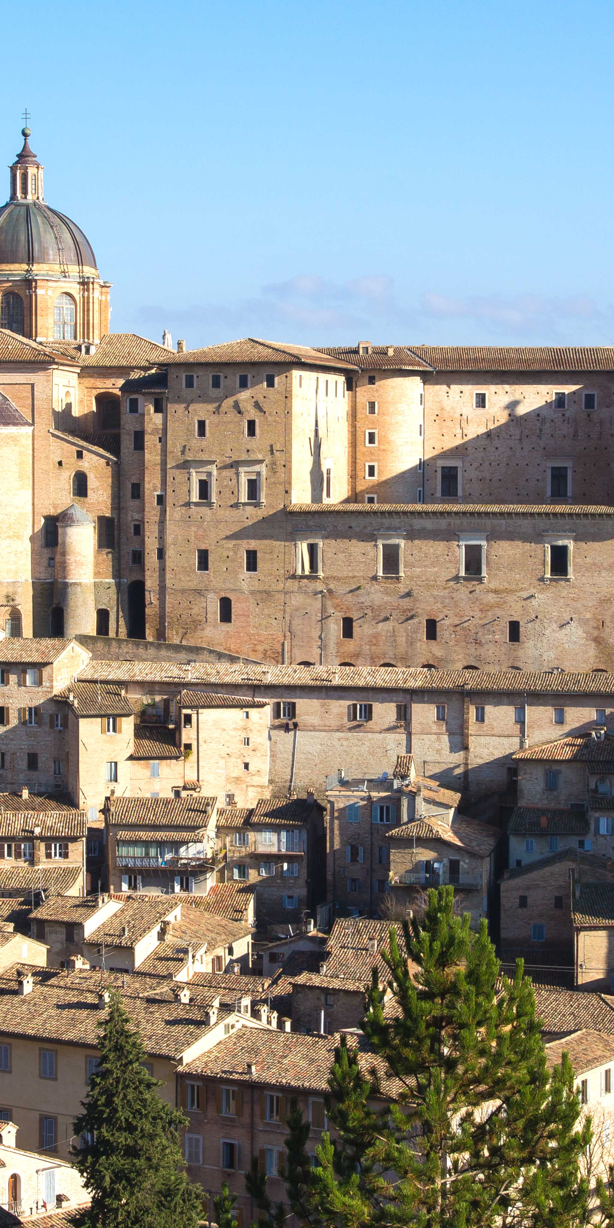 Urbino