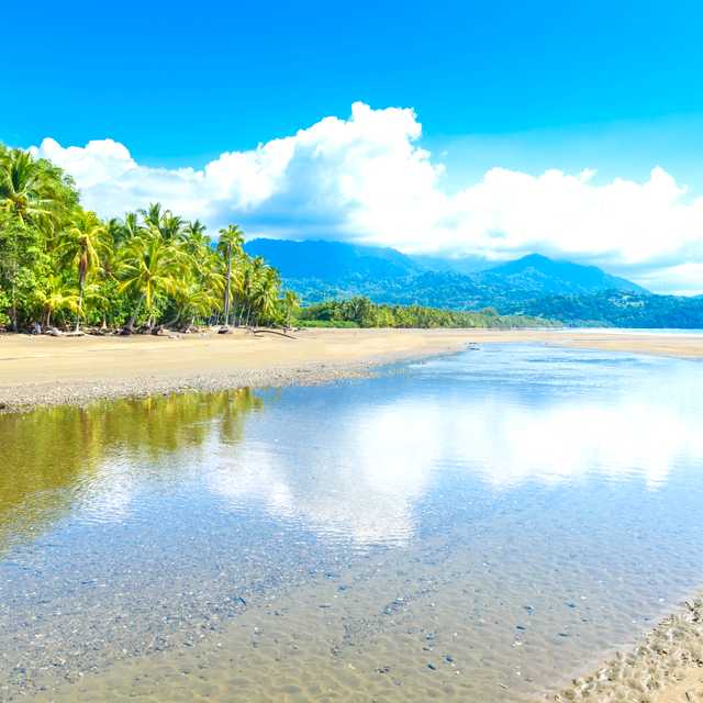 San Jose to Uvita and Dominical: Private day trip