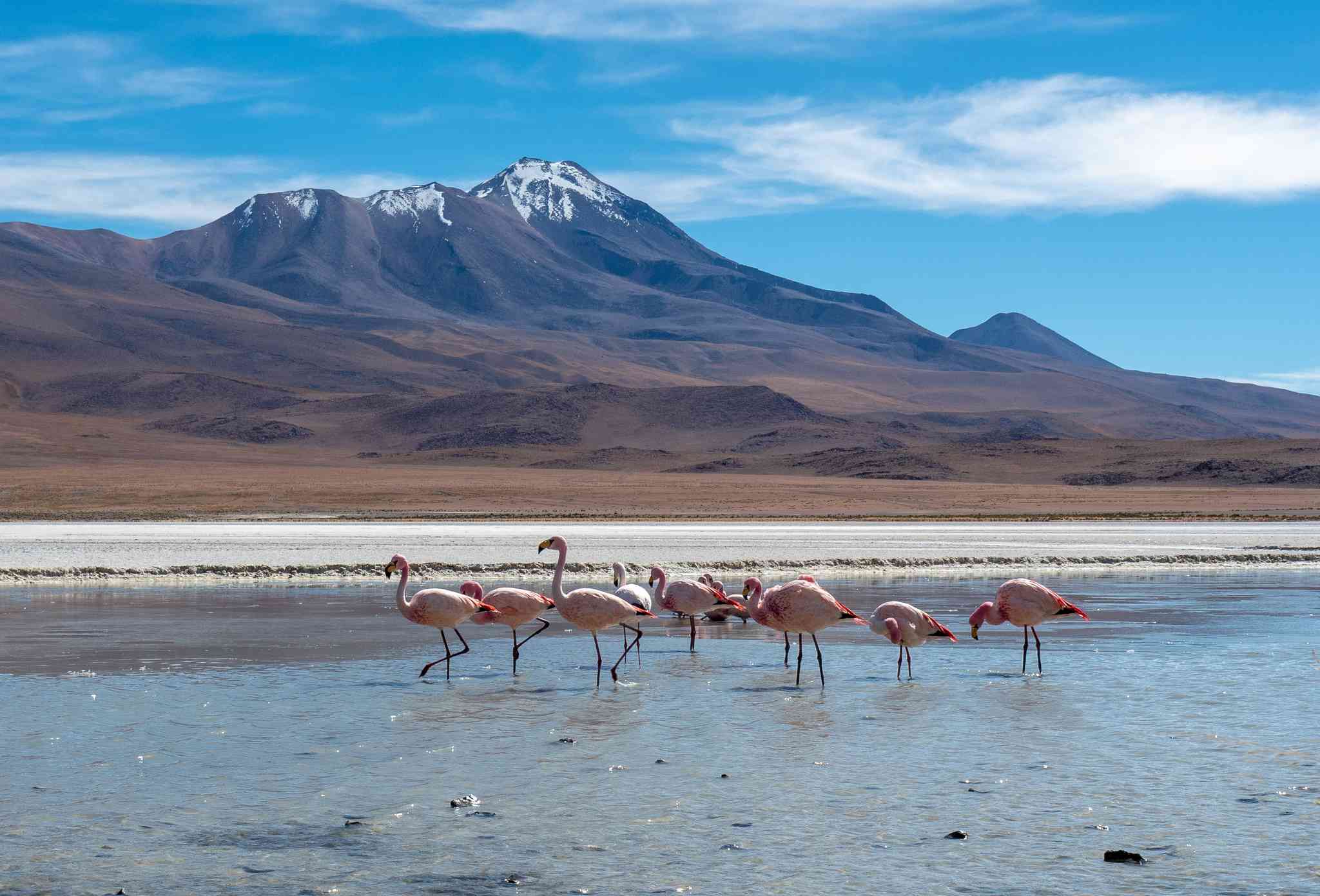 伊基克 的风景 - 从 Uyuni 出发的私人 一日游 - 照片 5