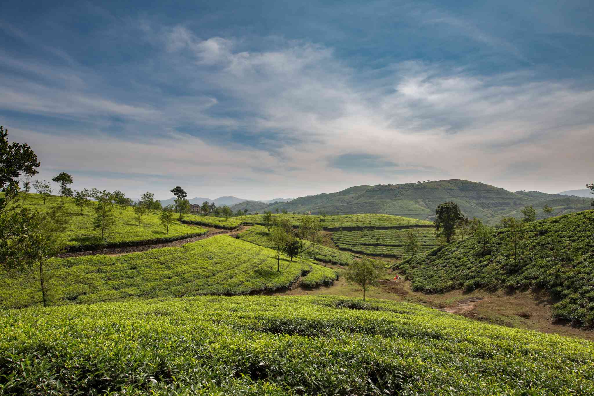 Scenic view of Kochi - private day trip from Vagamon - photo 7