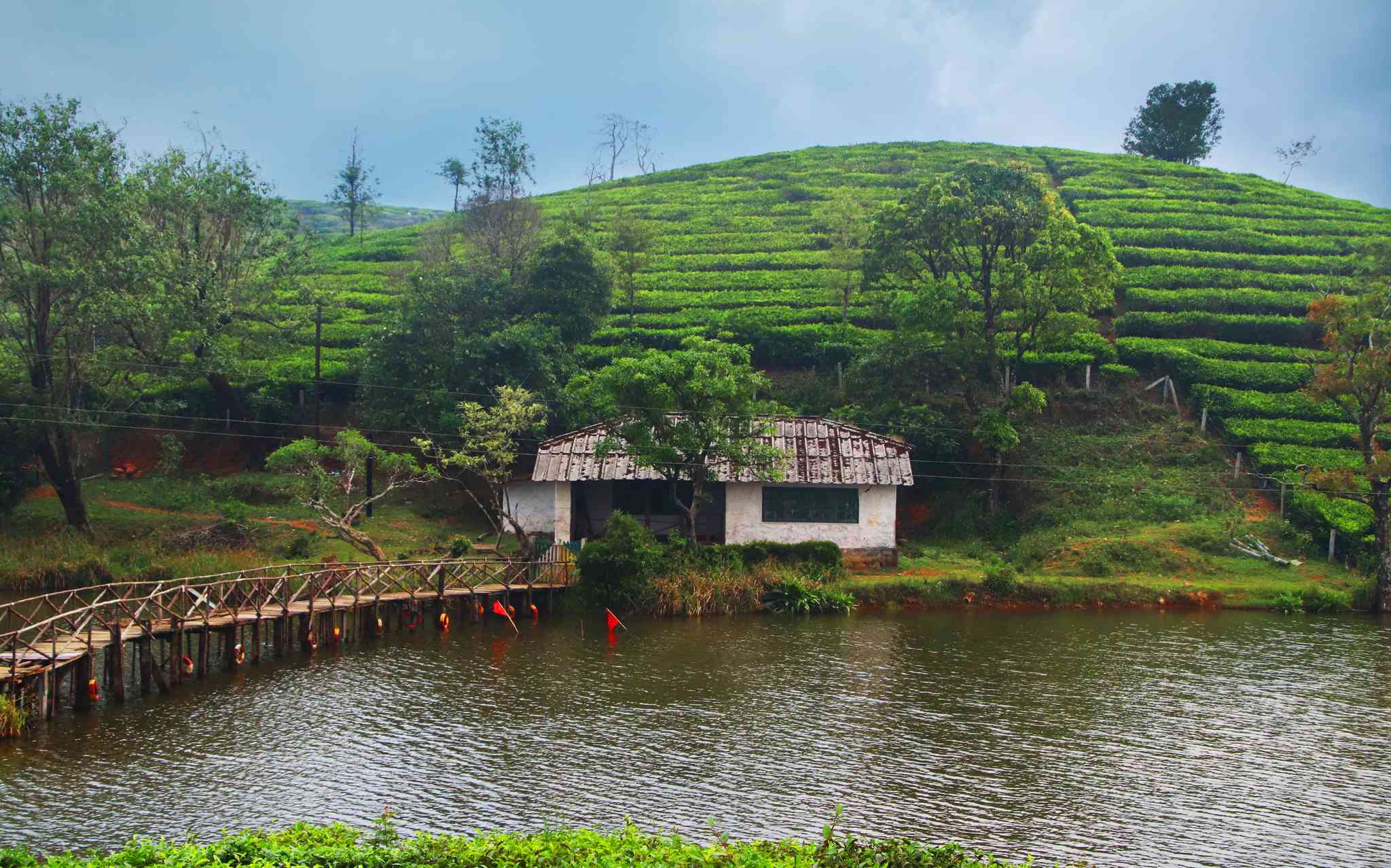 Scenic view of Kochi - private day trip from Vagamon - photo 5
