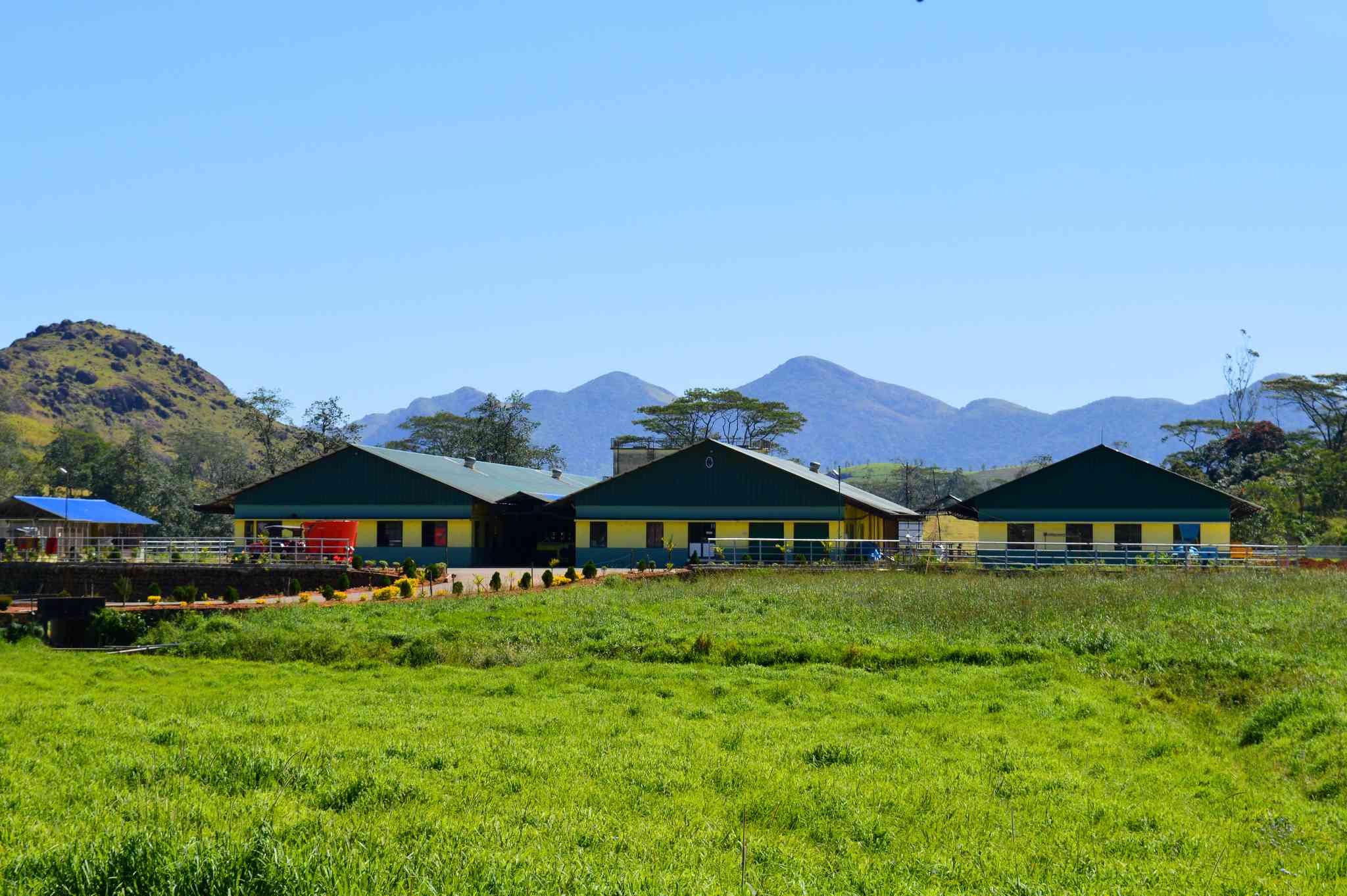 Scenic view of Kochi - private day trip from Vagamon - photo 6
