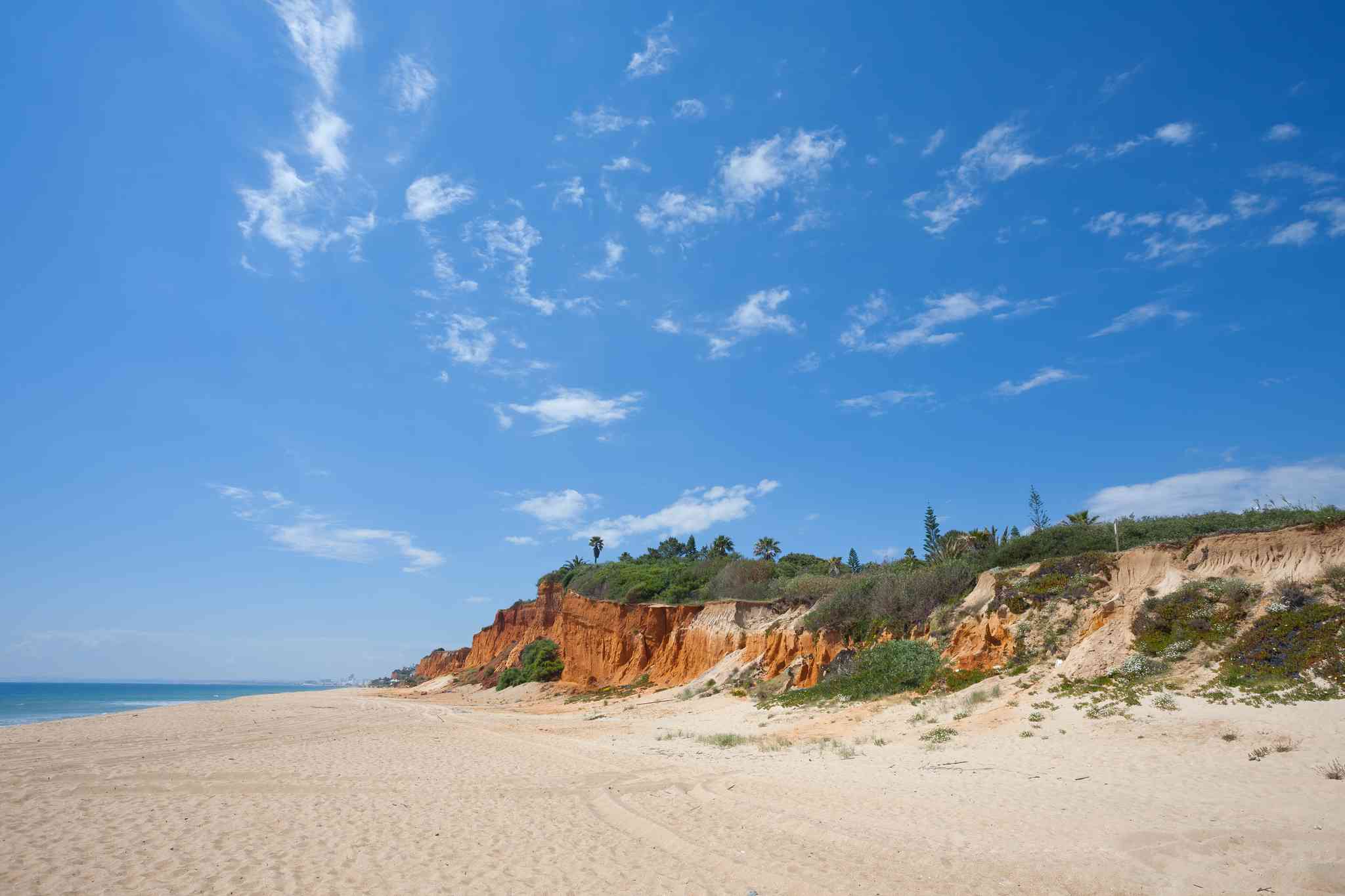 카르모나 의 경치 - Vale do Lobo 에서 출발하는 개인 day trip - 사진 7