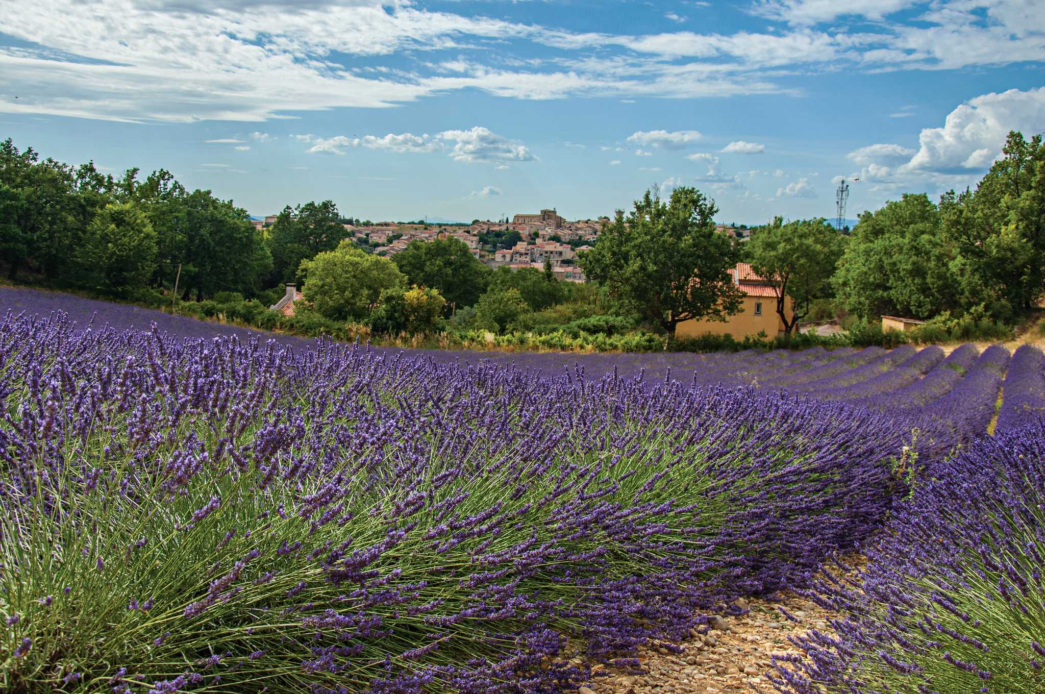 Itinerary stop at Valensole on private day trip from Aix-en-Provence