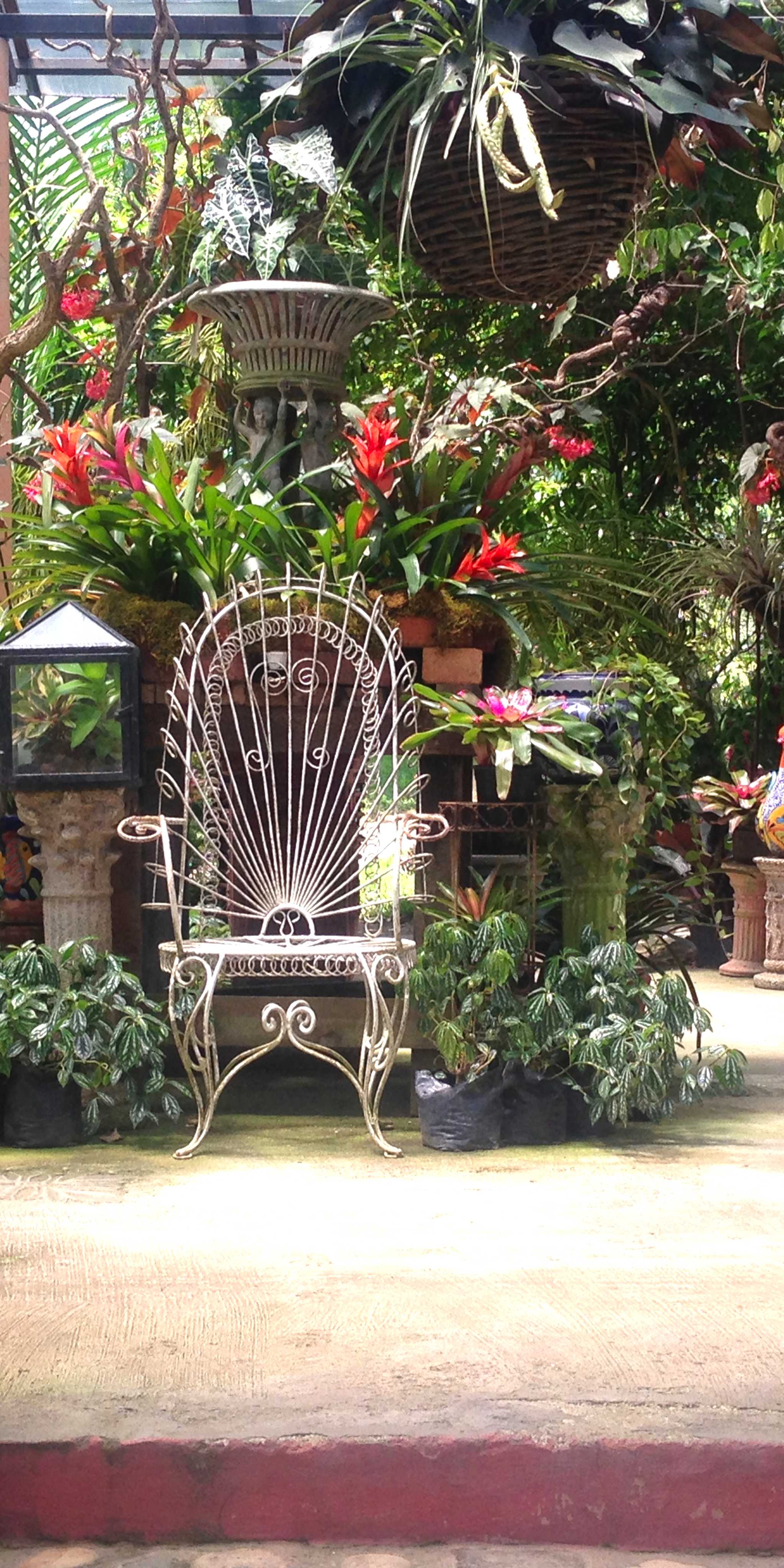 Vallarta Botanischer Garten