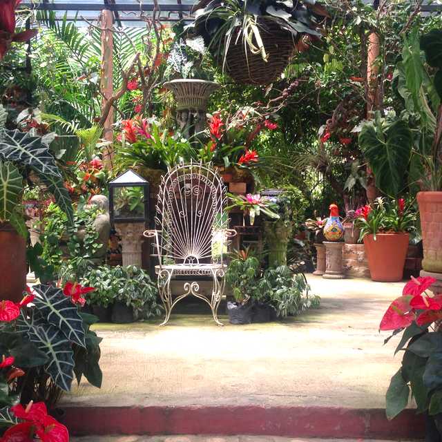 Puerto Vallarta to Vallarta Gardens and the Crocodile Park