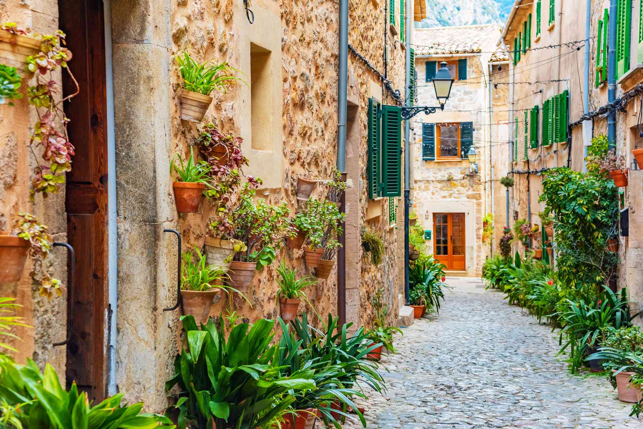 Blick auf die Landschaft von Valldemossa - private Tagesreise von Palma de Mallorca - Foto 4
