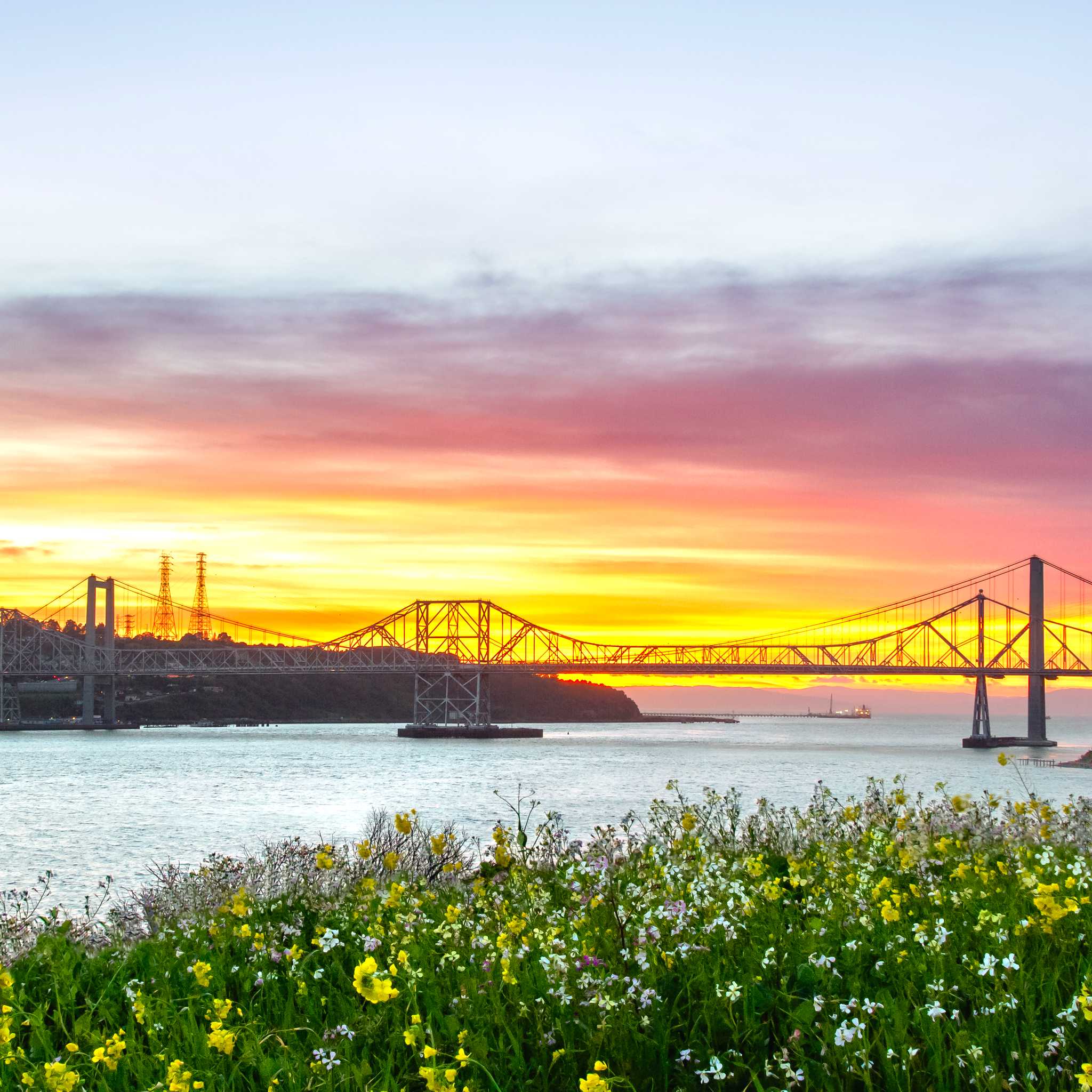 Vallejo