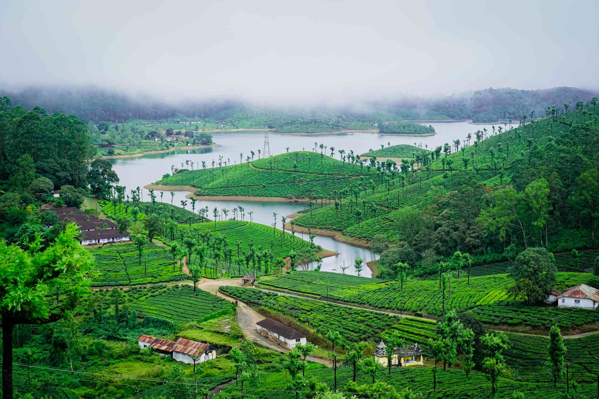 Scenic view of Cochin International Airport - private day trip from Valparai - photo 6