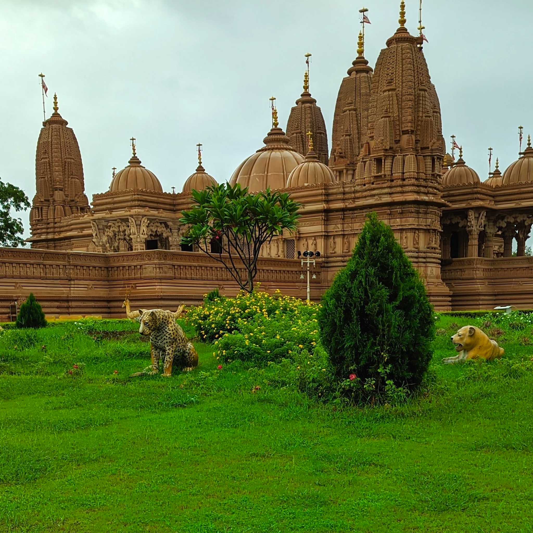 Vapi