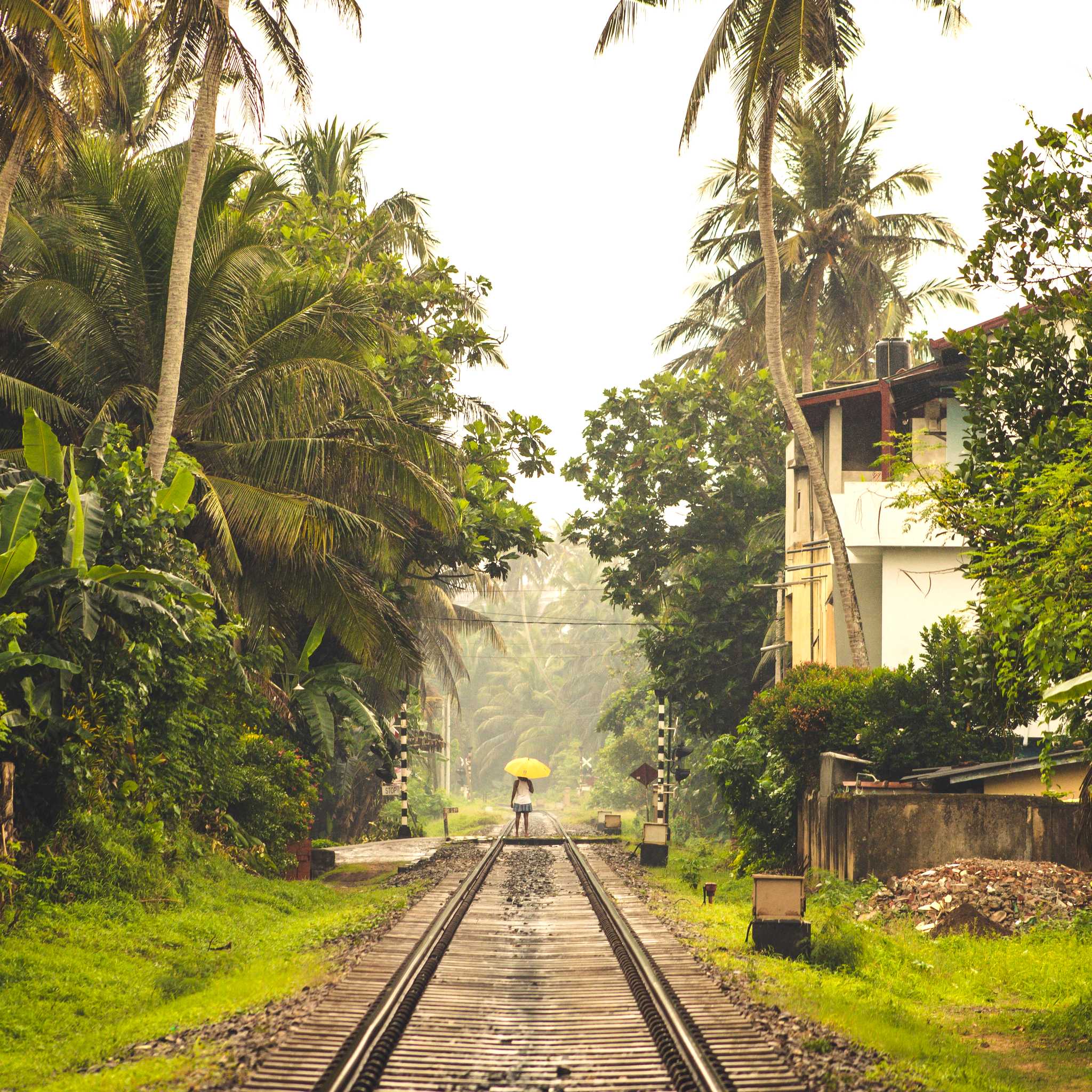 Vavuniya
