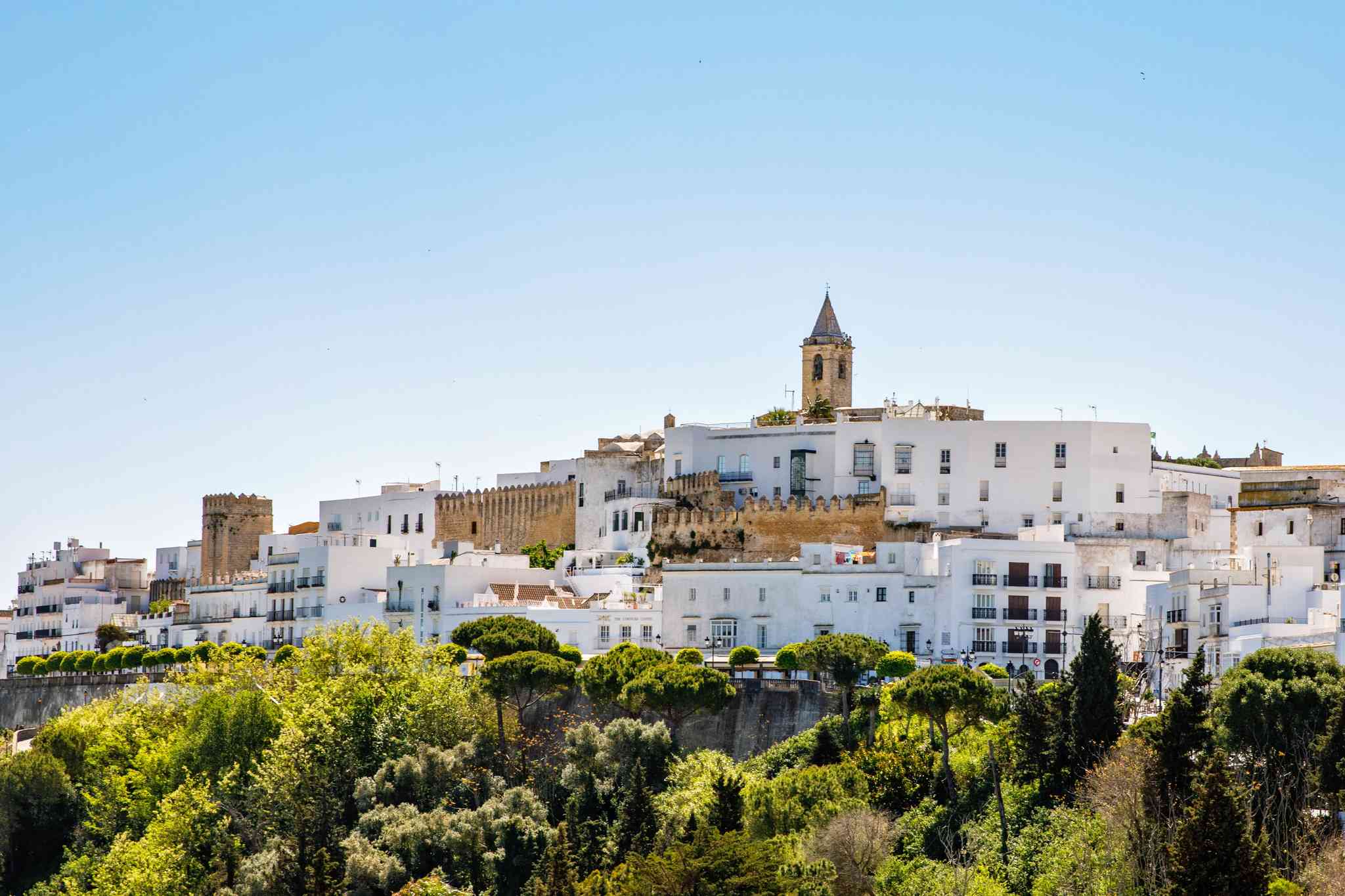 Blick auf die Landschaft von Ronda - private Tagesreise von Vejer de la Frontera - Foto 8