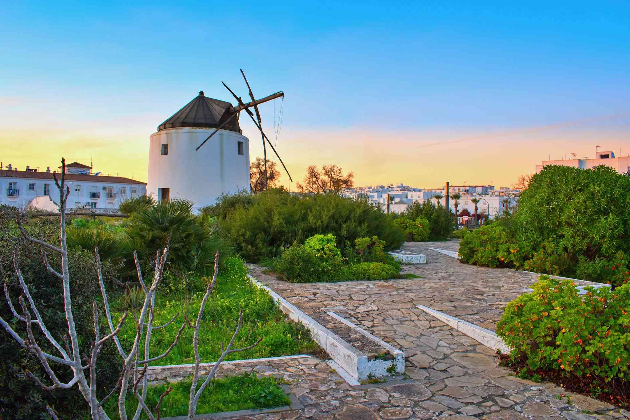 Blick auf die Landschaft von Ronda - private Tagesreise von Vejer de la Frontera - Foto 7