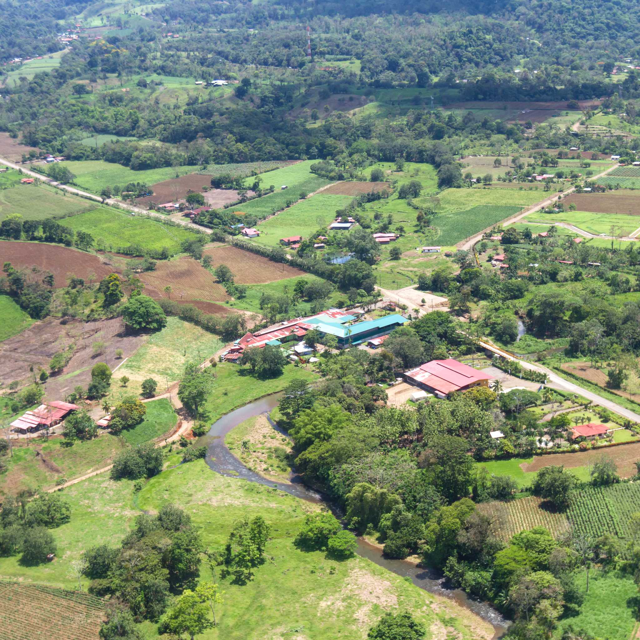  Venado - San Carlos