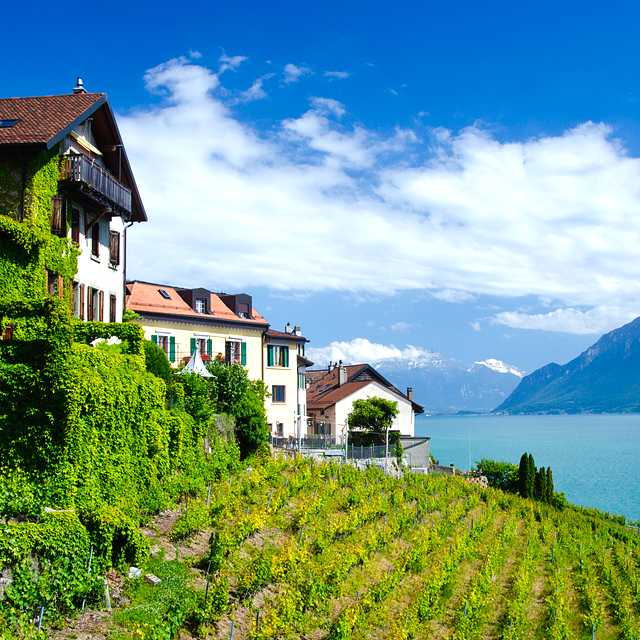 Montreux to Lausanne and Vevey: Private day trip