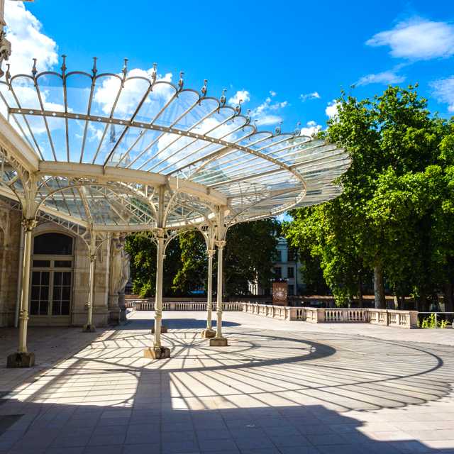 Lyon to Vichy: Private day trip