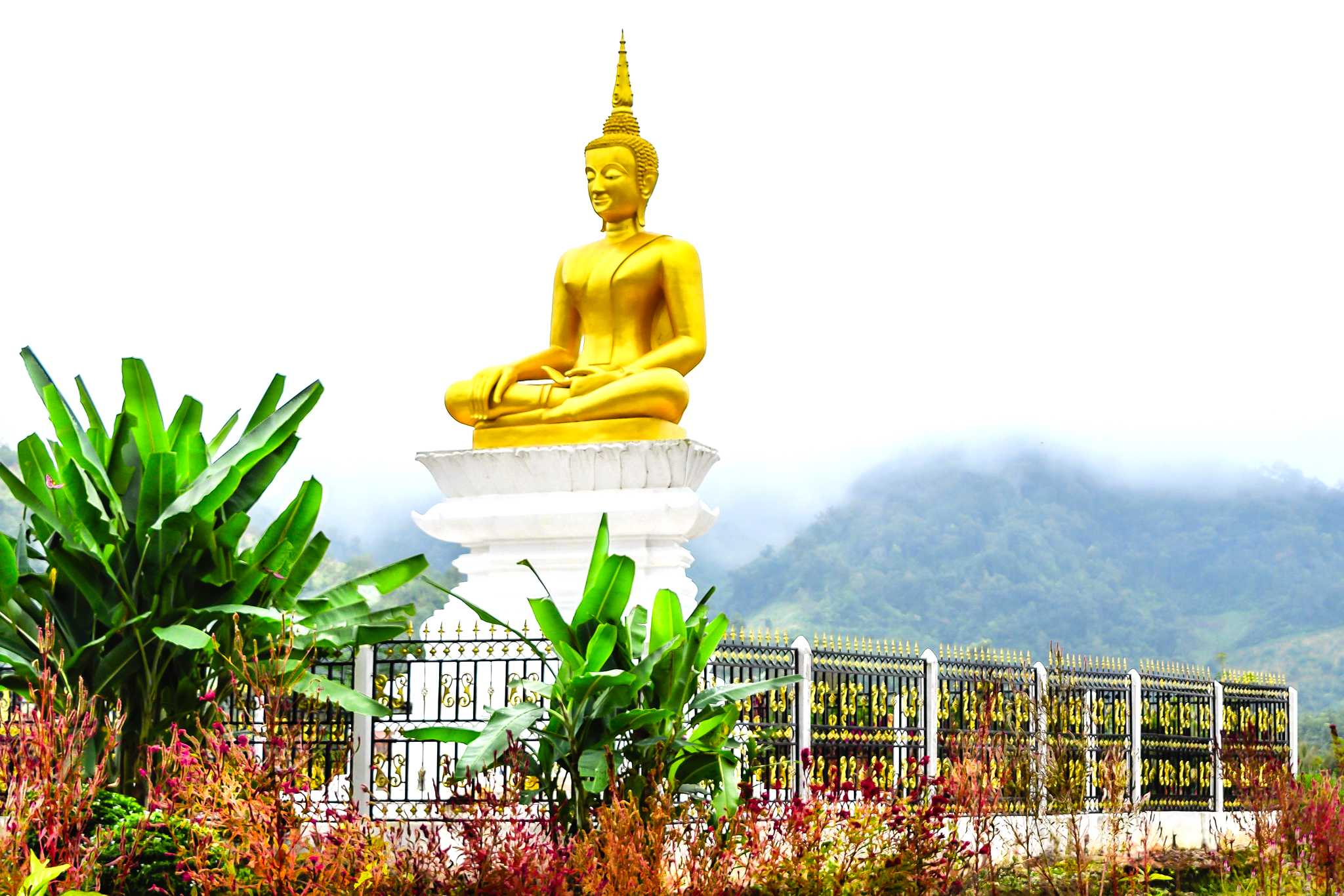 Private car transfers in Laos from Vieng Tay