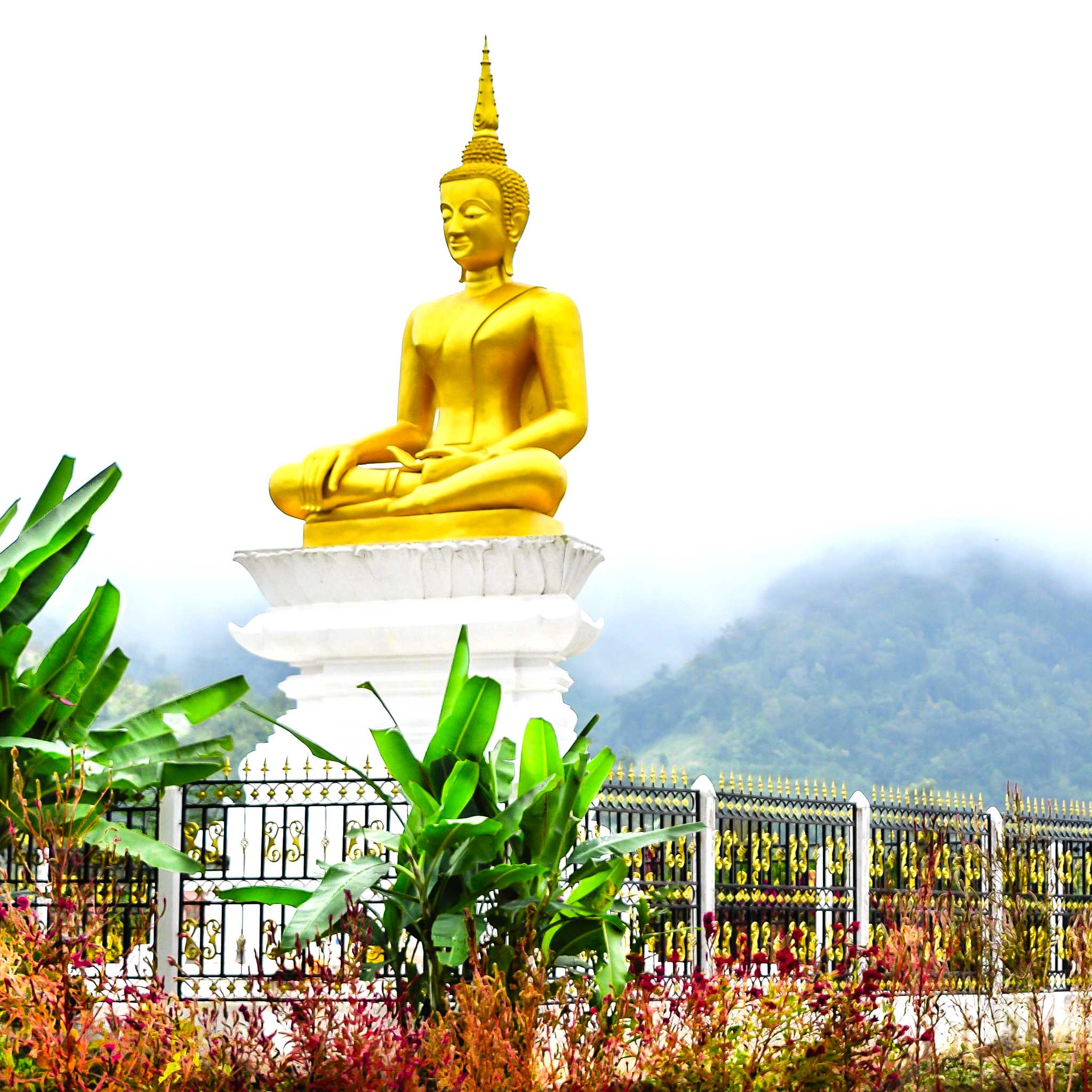 Private car transfers in Laos from Vieng Tay