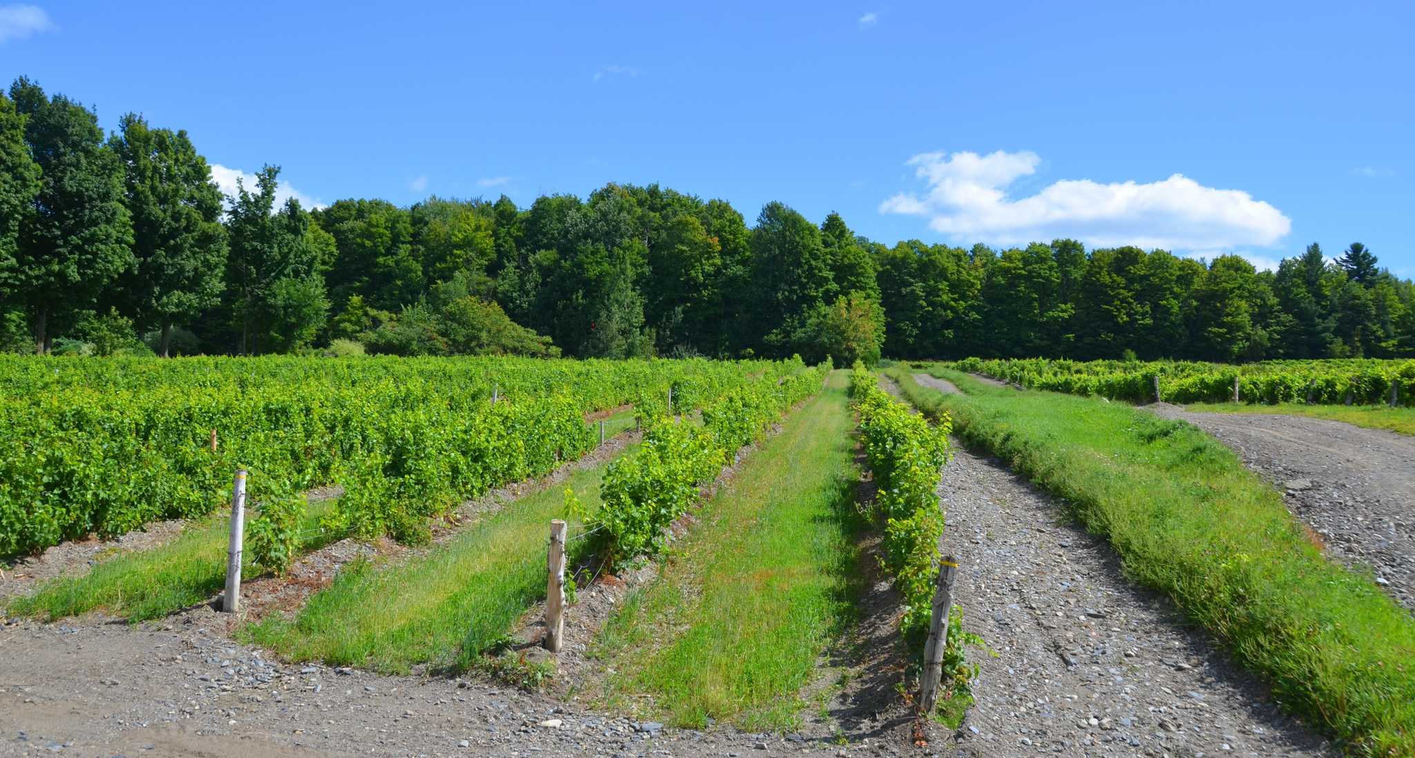 Visitez Vignoble Val Caudalies sur le chemin de montreal-qc-ca à portland-me-us avec Daytrip