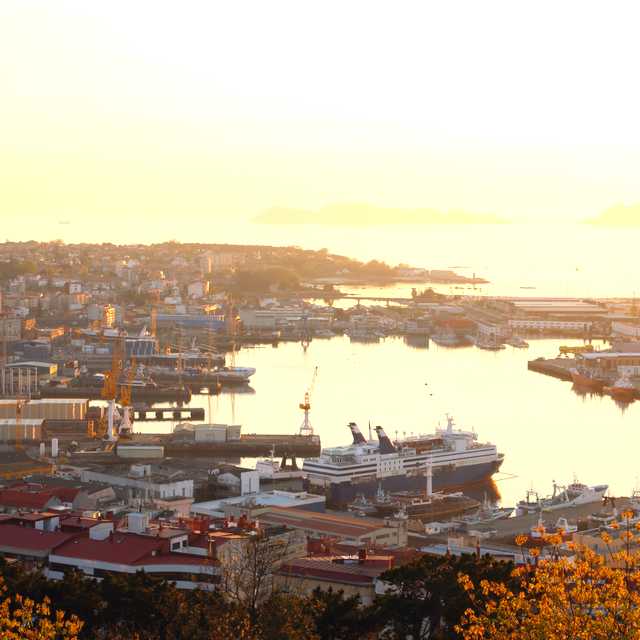 Santiago de Compostela to Vigo and Tui: Private day trip