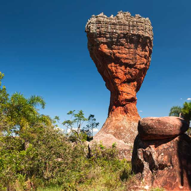 Curitiba to Vila Velha State Park and Ponta Grossa: Day trip