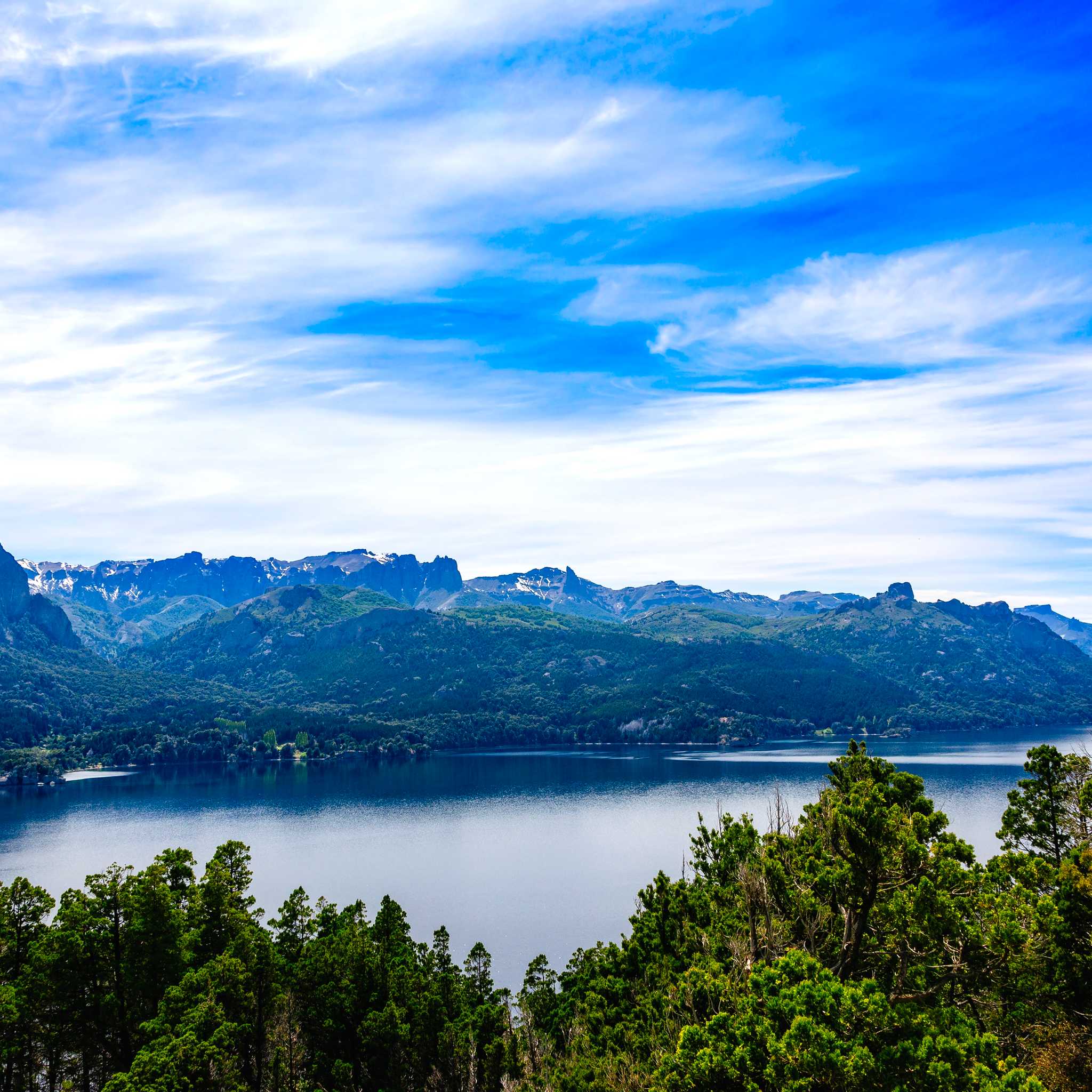 维拉·特拉富尔