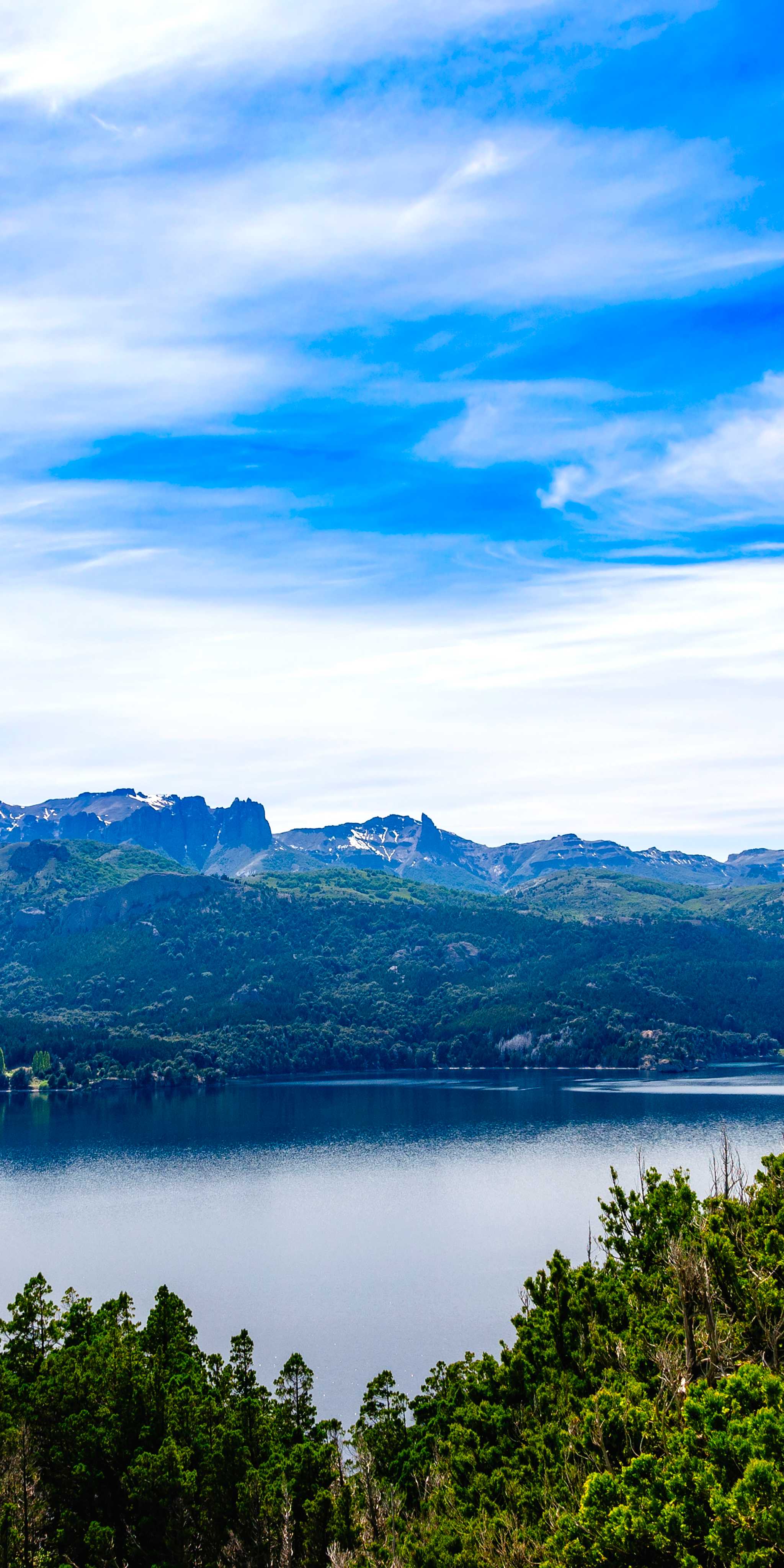 维拉·特拉富尔