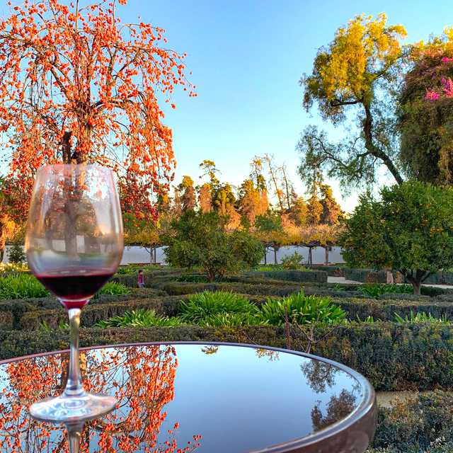 Santiago to Vina Santa Rita and Parque Tricao: Day trip